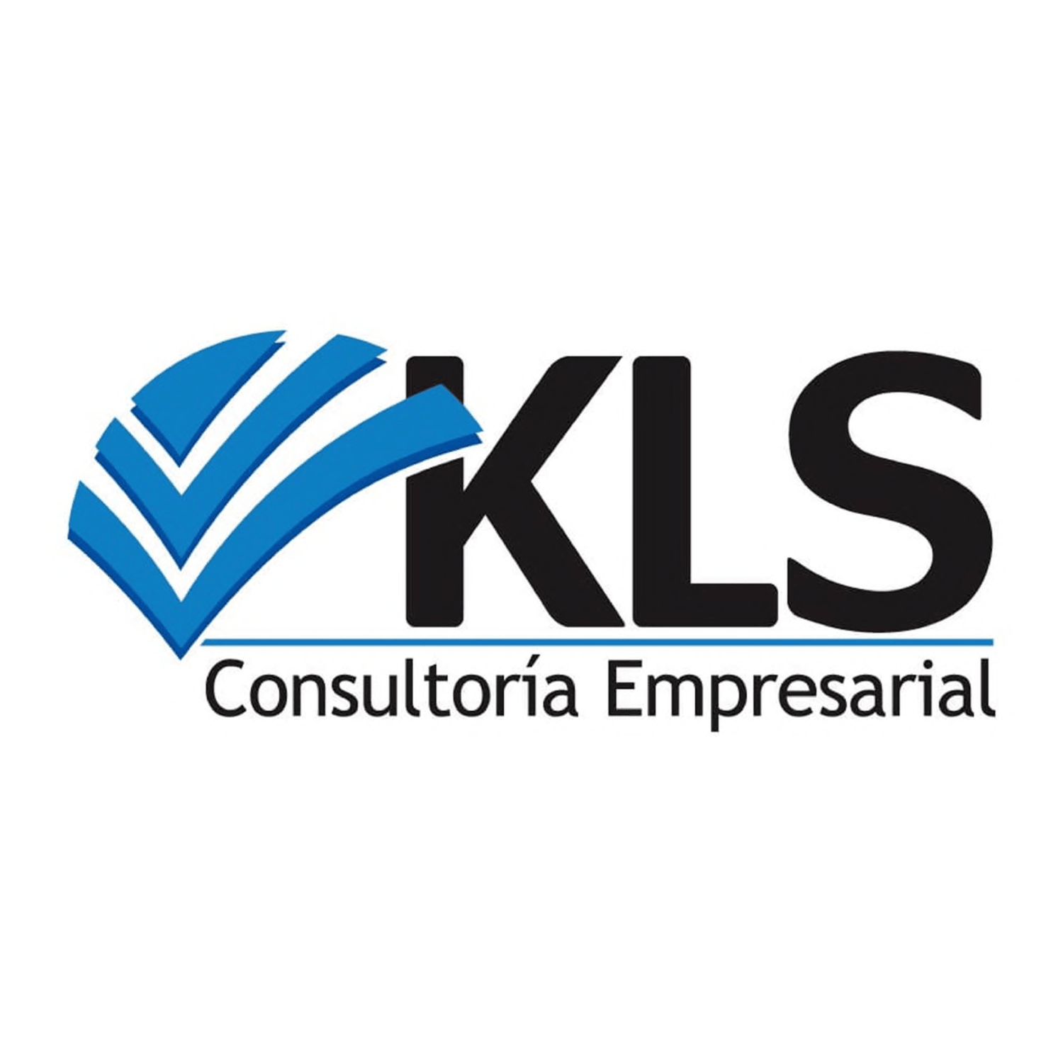KLS Consultoría Empresarial