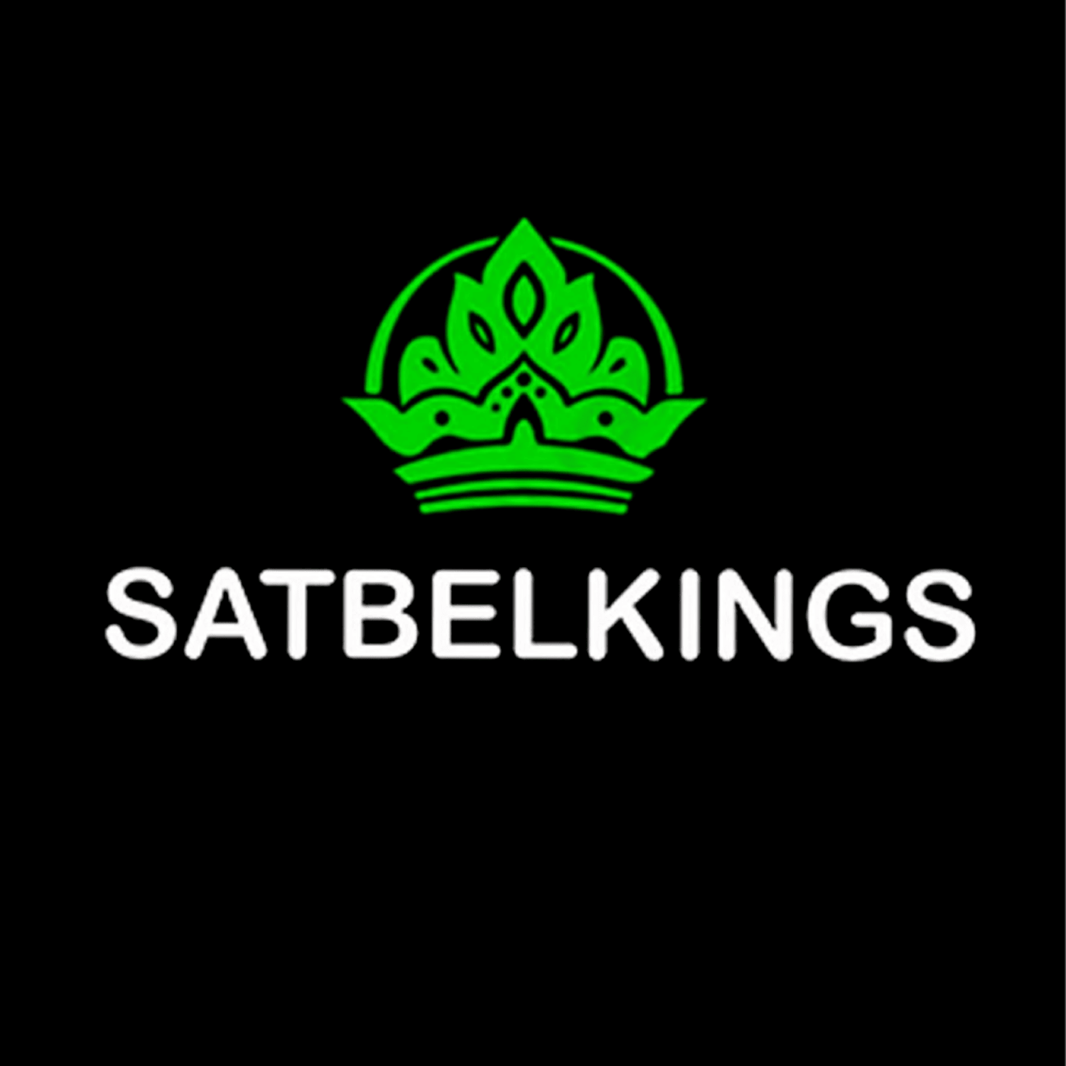 SATBELKINGS