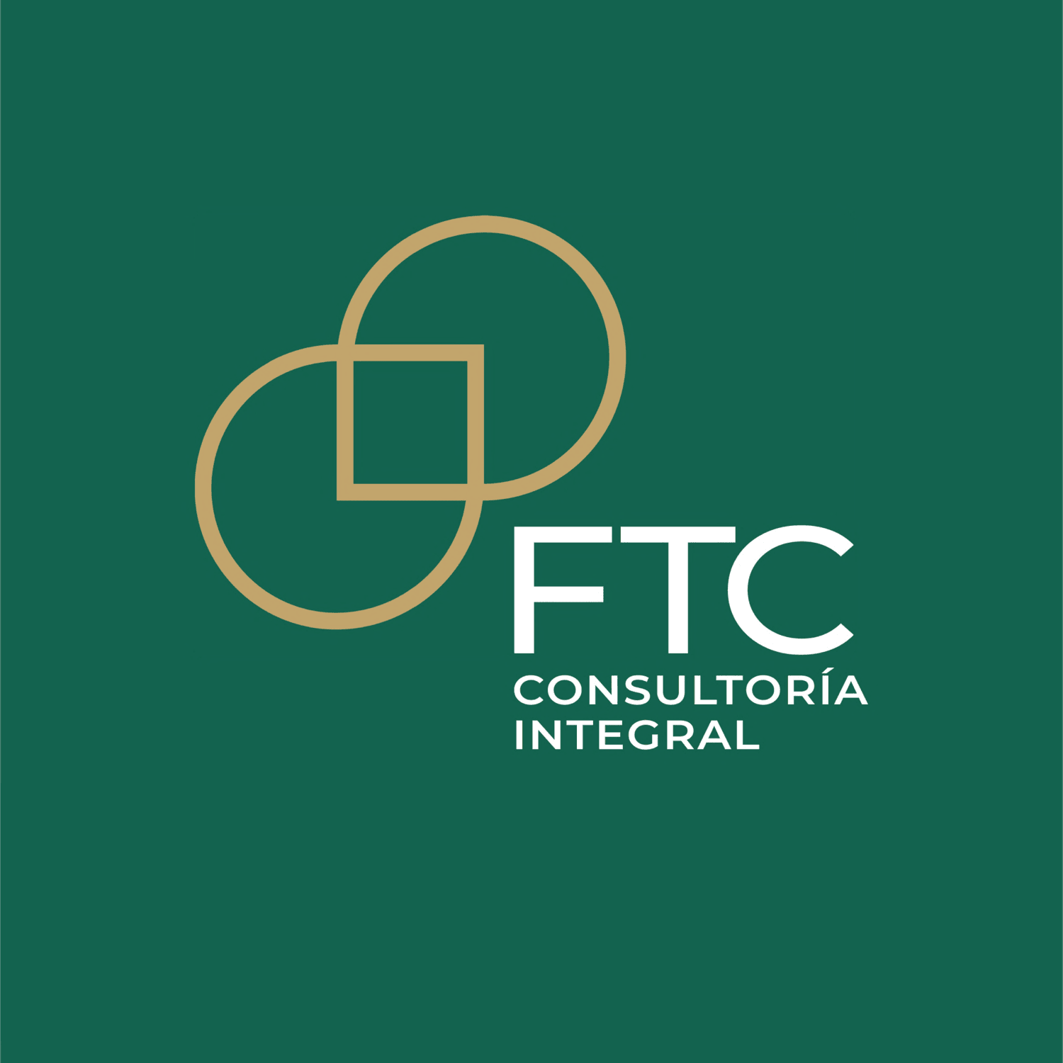 FTC CONSULTORIA INTEGRAL