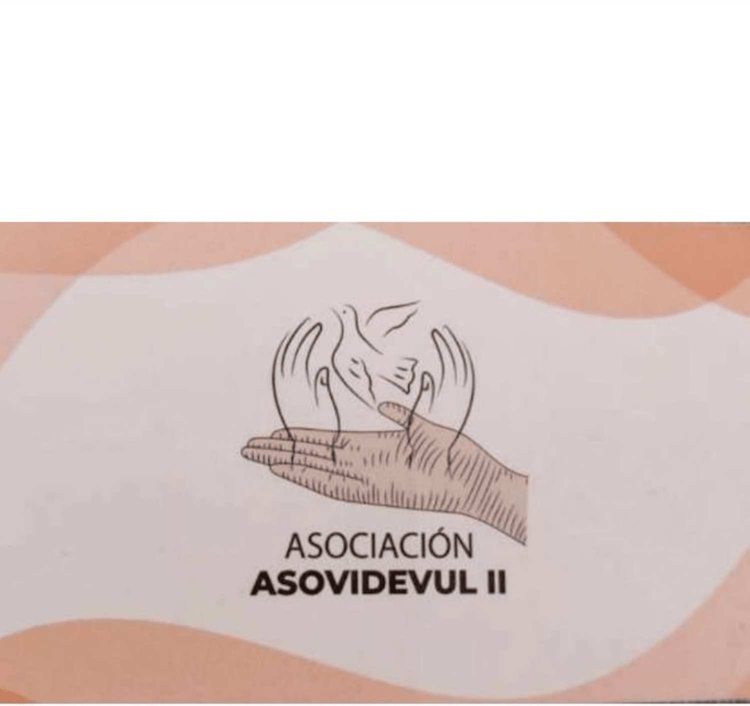 ASOCIACIÓN ASOVIDEVUL ll