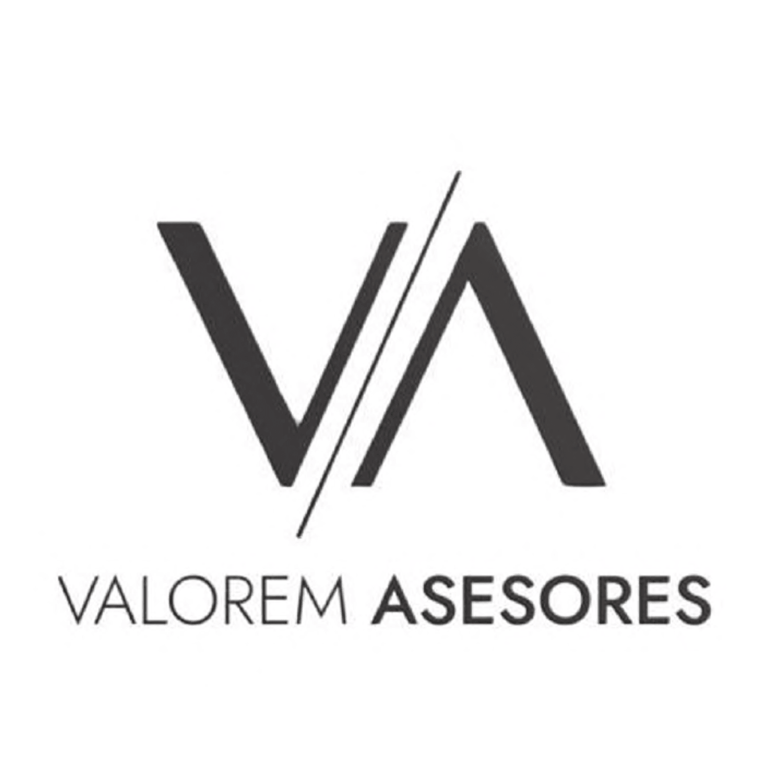 VA VALOREM ASESORES