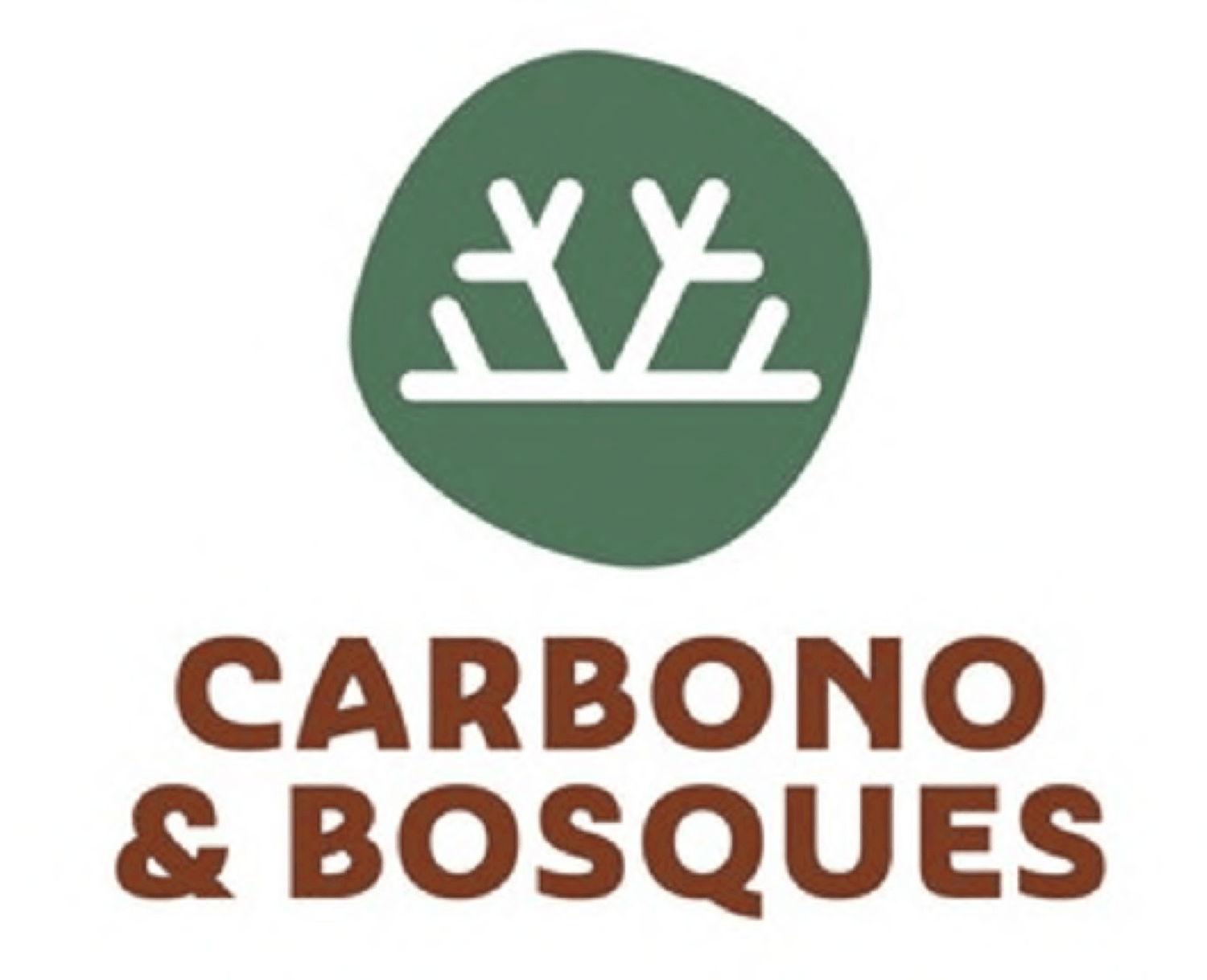 CARBONO & BOSQUES