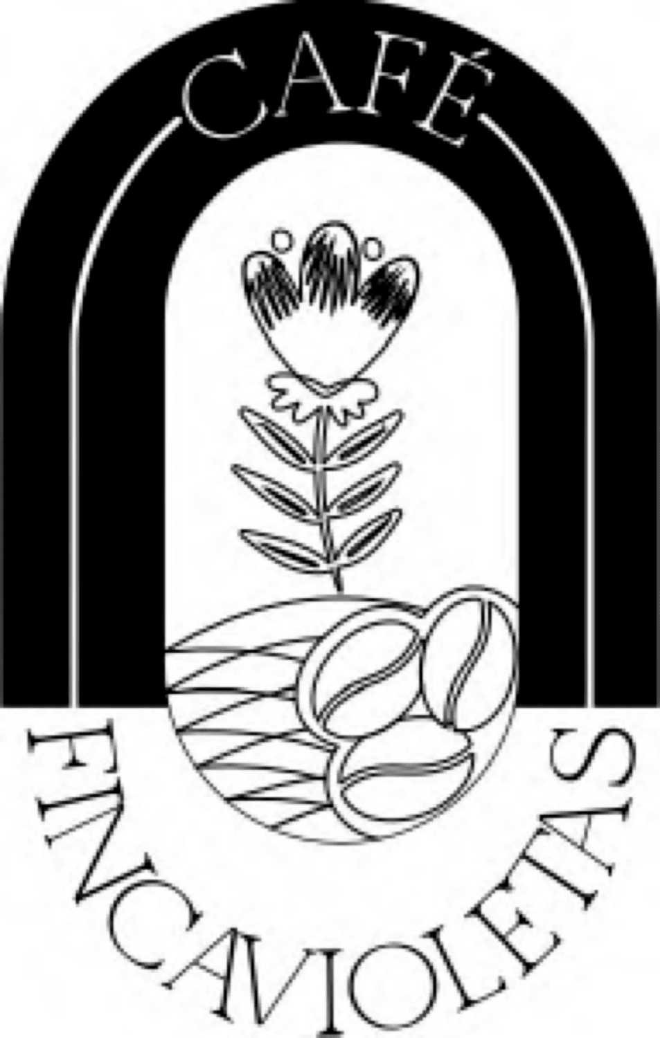 CAFE FINCAVIOLETAS