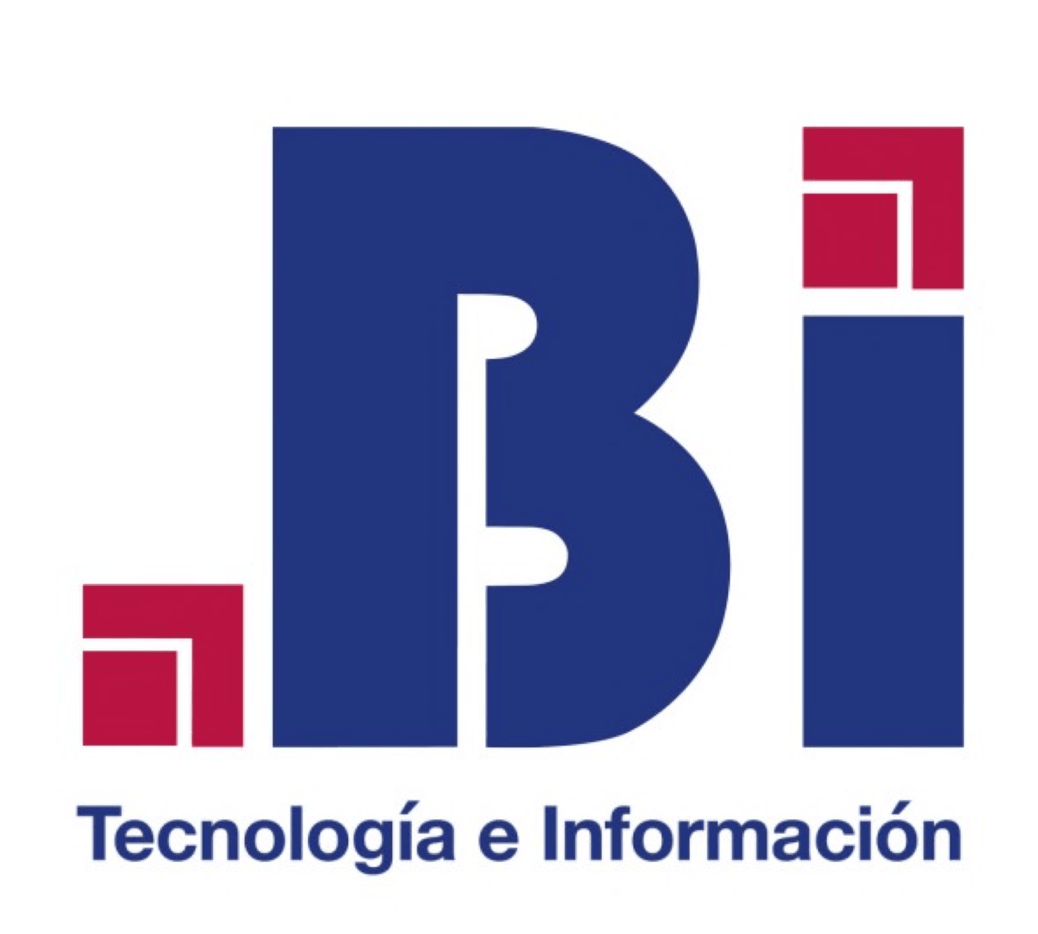 BI TECNOLOGIA E INFORMACION