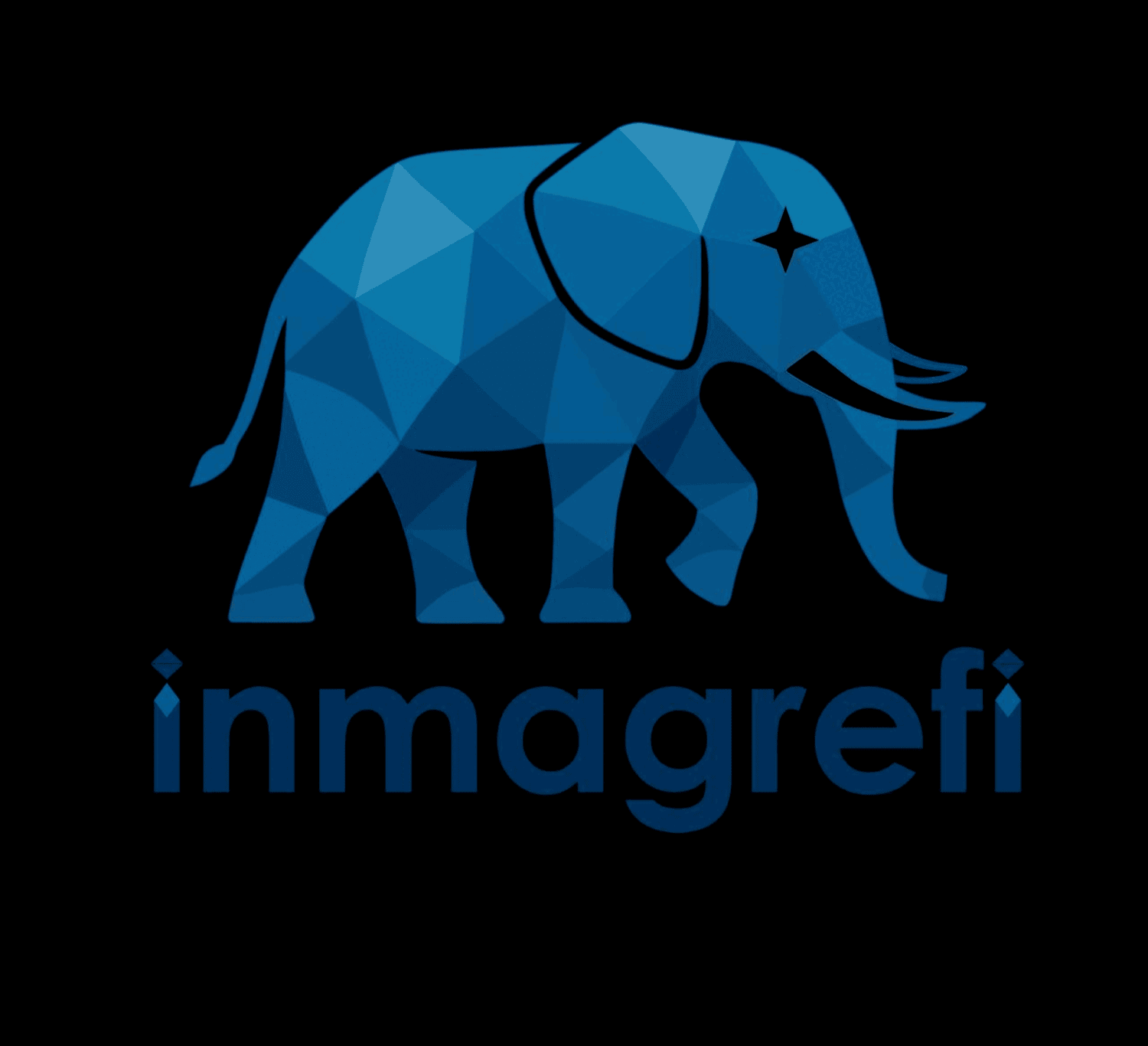 Inmagrefi