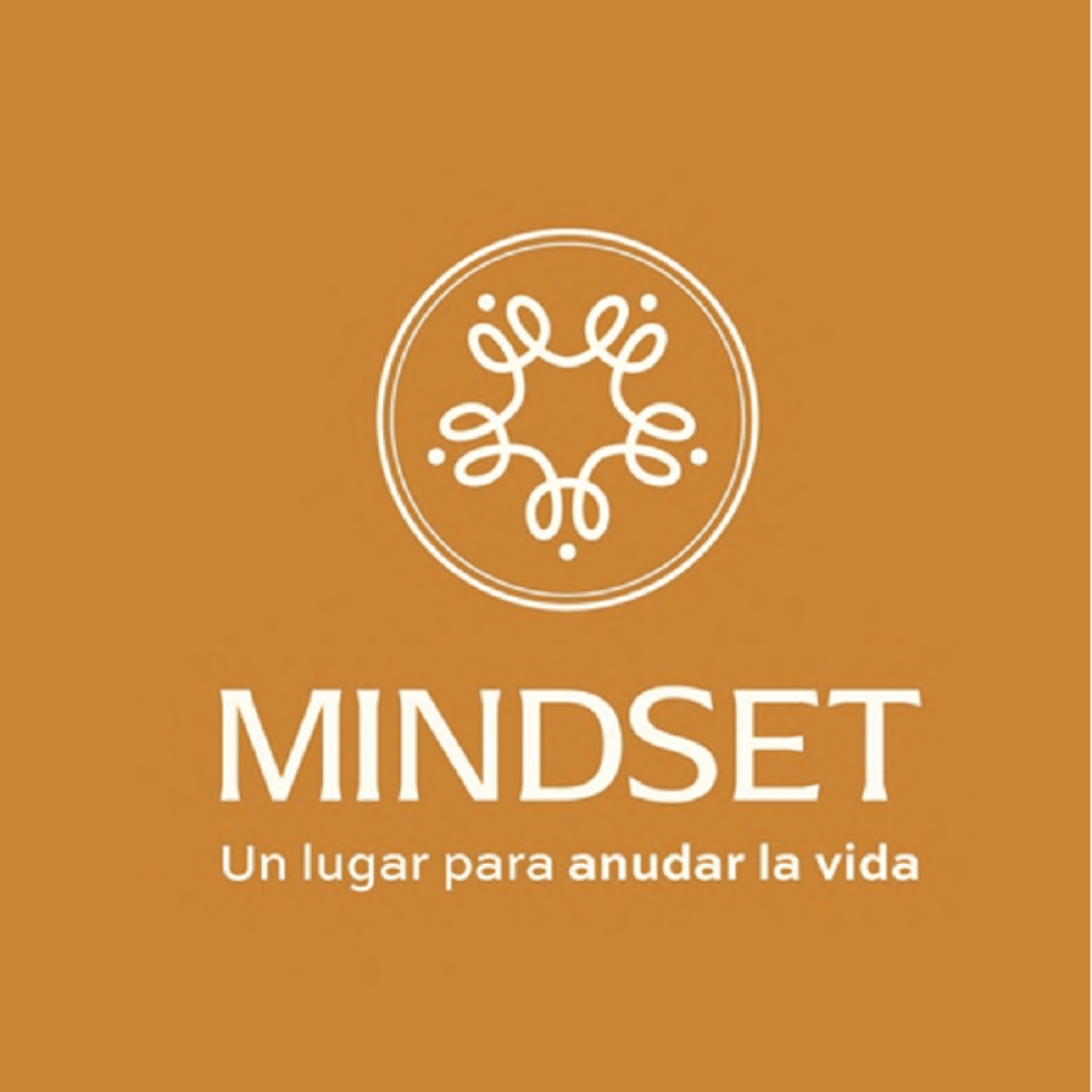 MINDSET Un lugar para anudar la vida