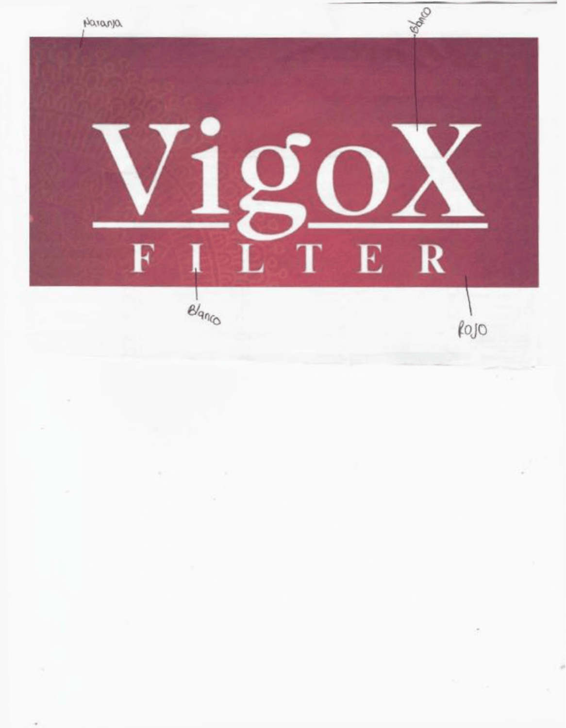 VIGOX FILTER