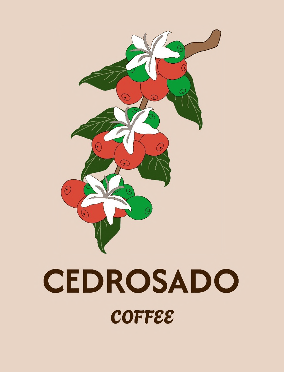 CEDROSADO COFFE