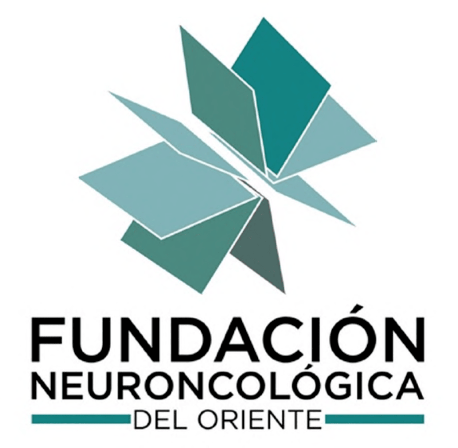 Fundación Neuroncologica del Oriente