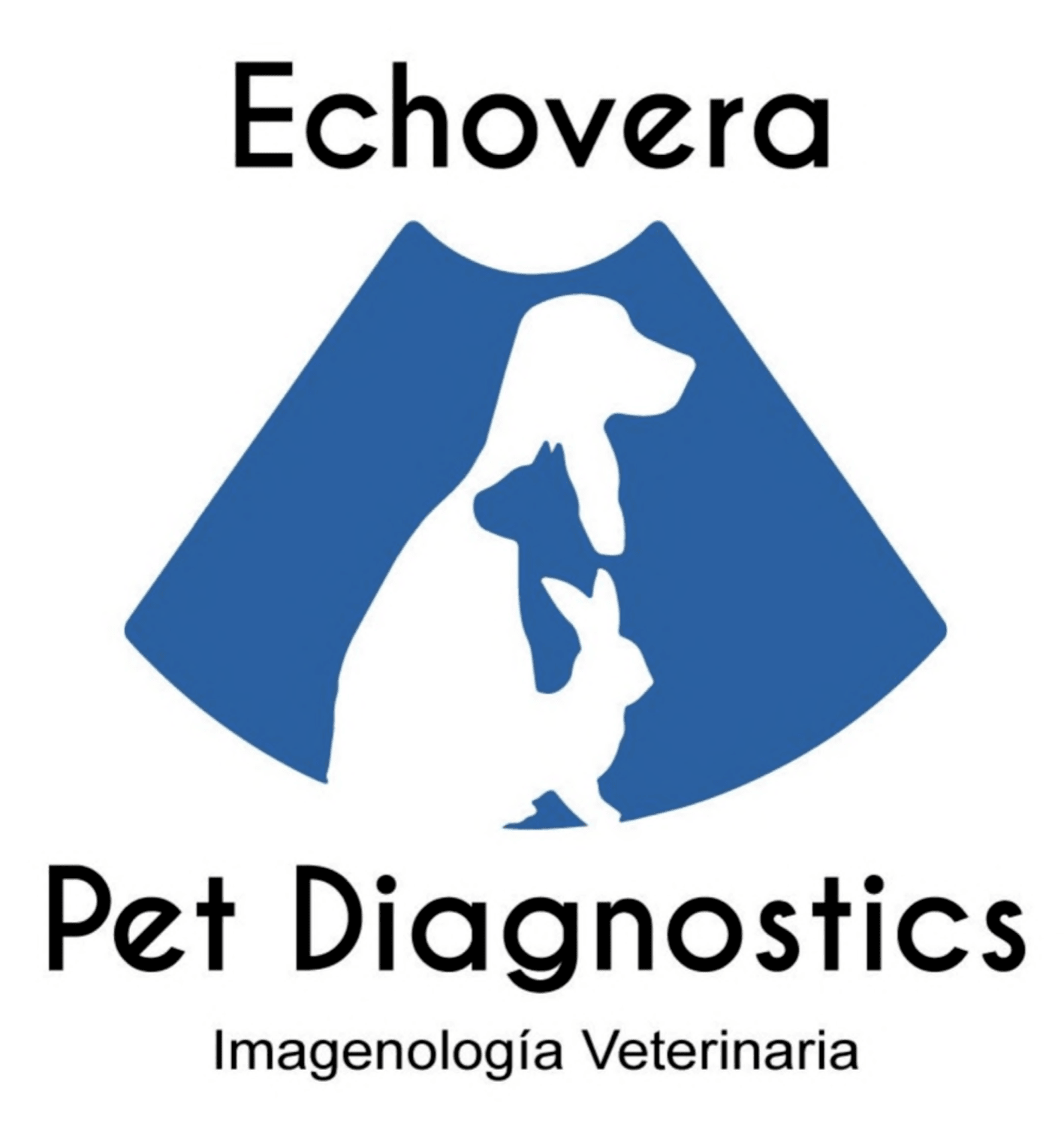 Echovera Pet Diagnostics Imagenologia Veterinaria
