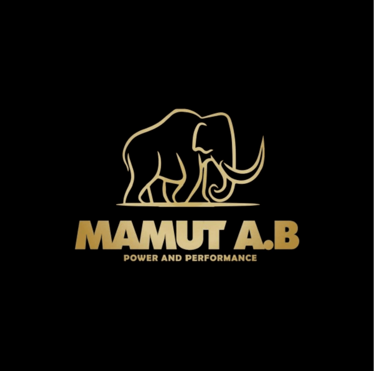 Mamut A.B Power and Performance