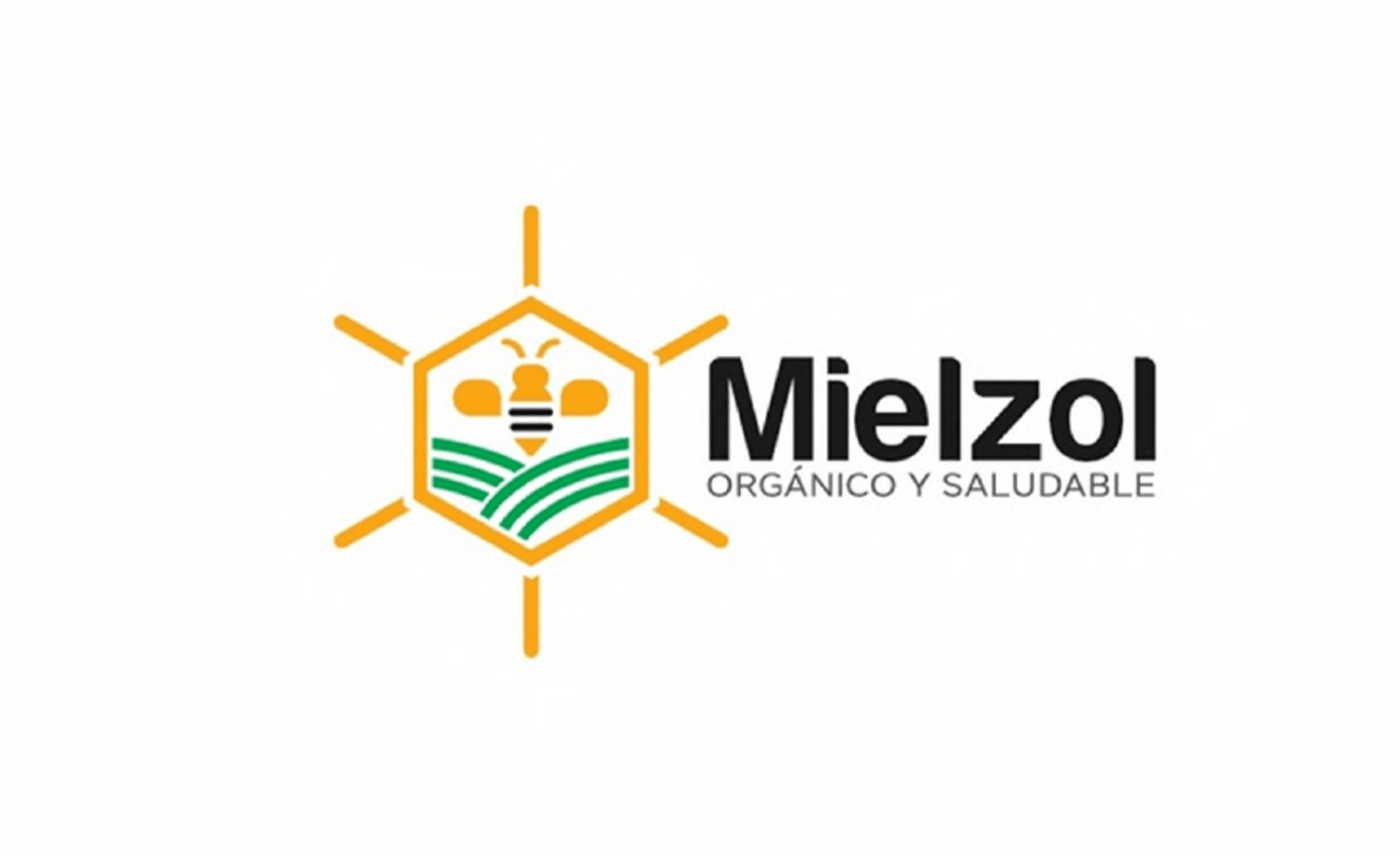 MIELZOL Orgánico y Saludable