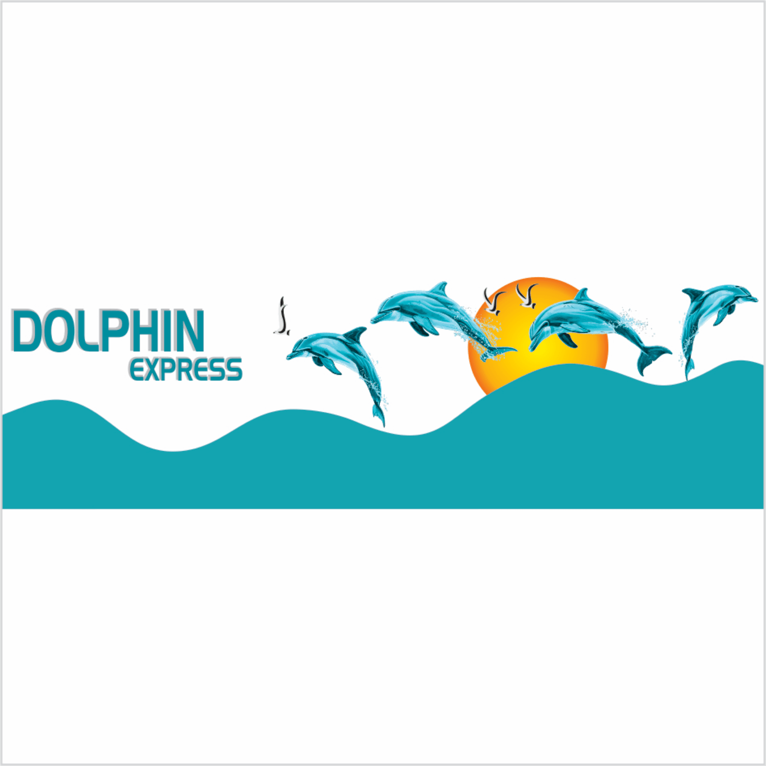 DOLPHIN EXPRESS
