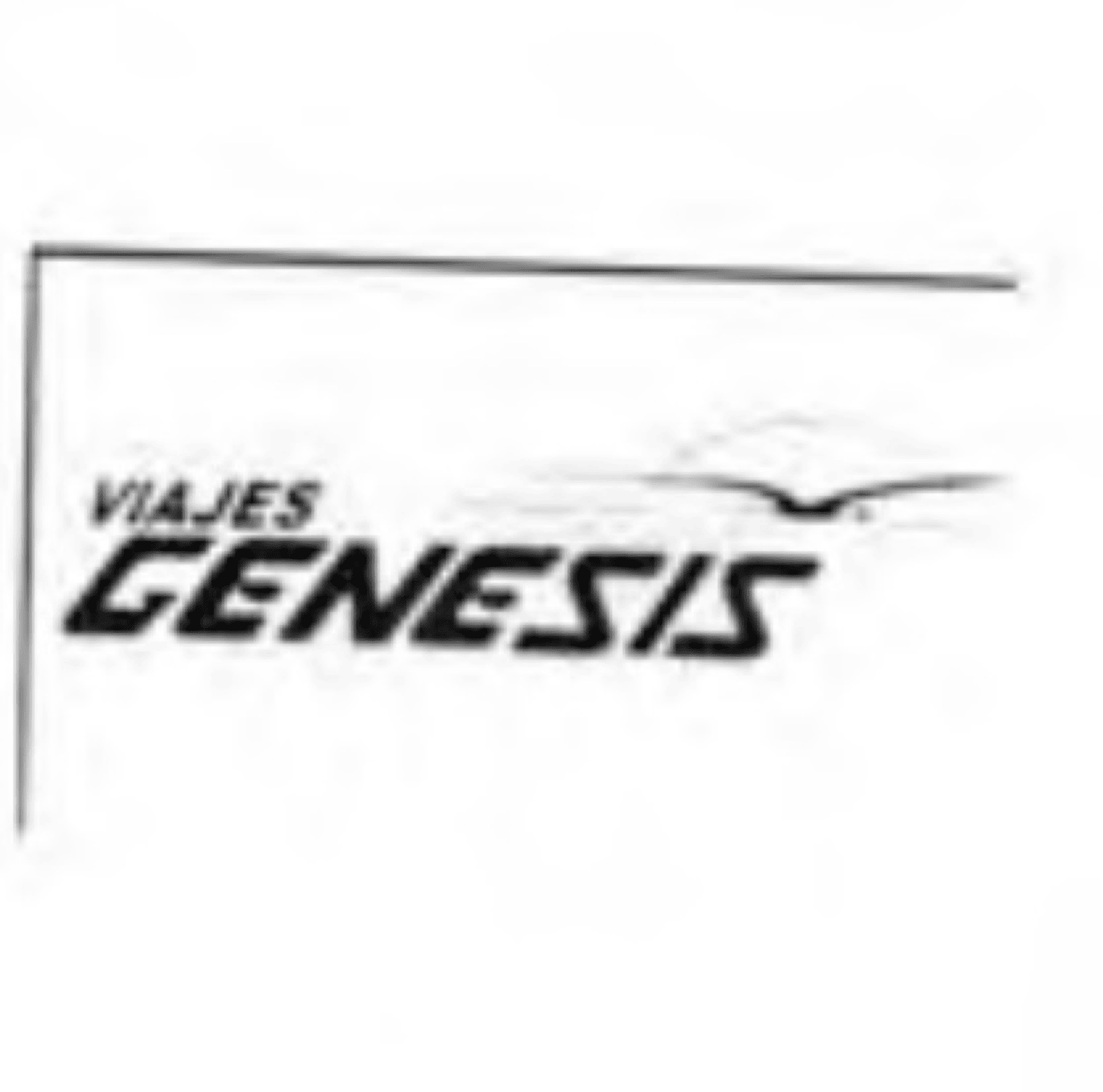 VIAJES GENESIS