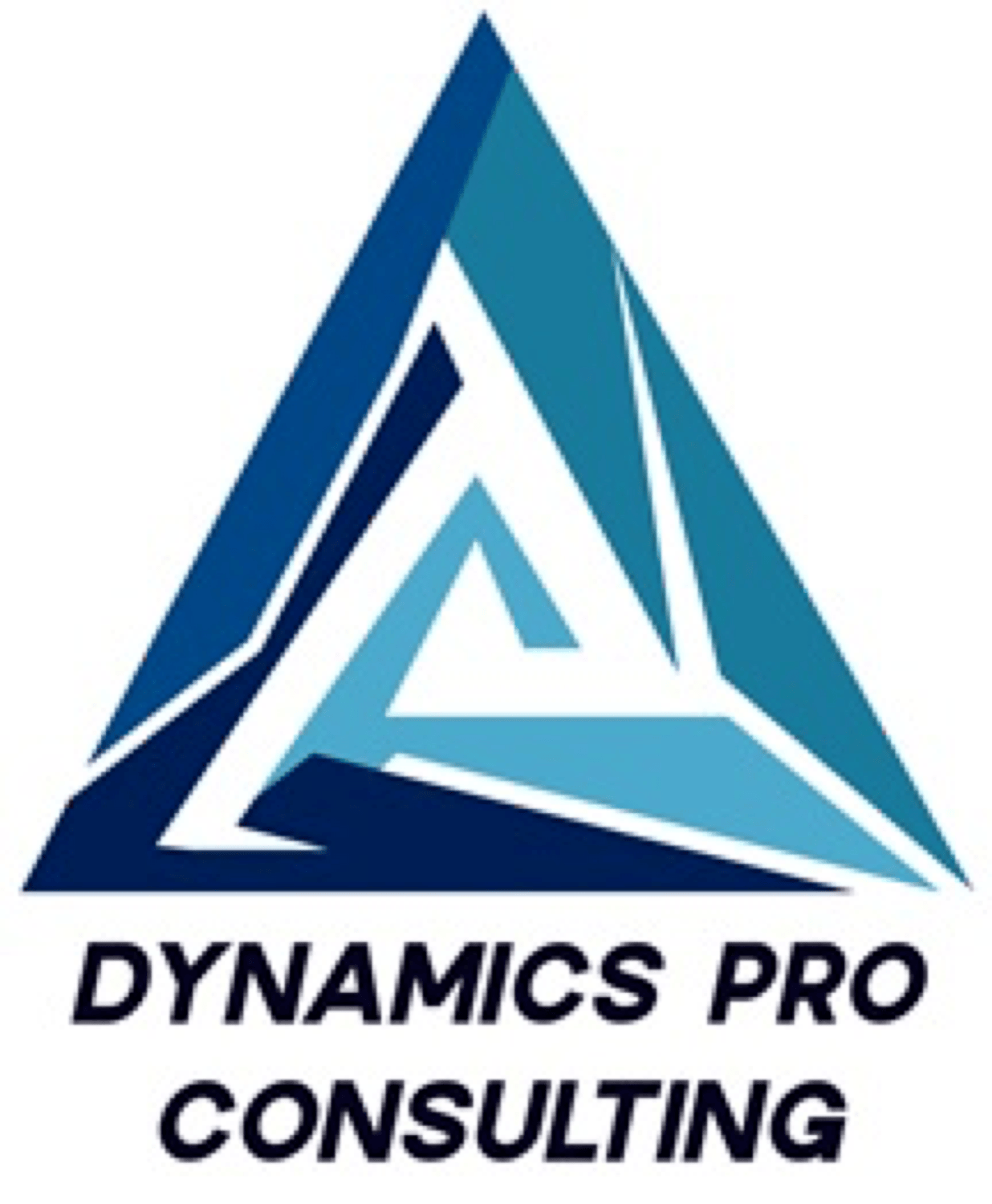 Dynamics Pro Consulting