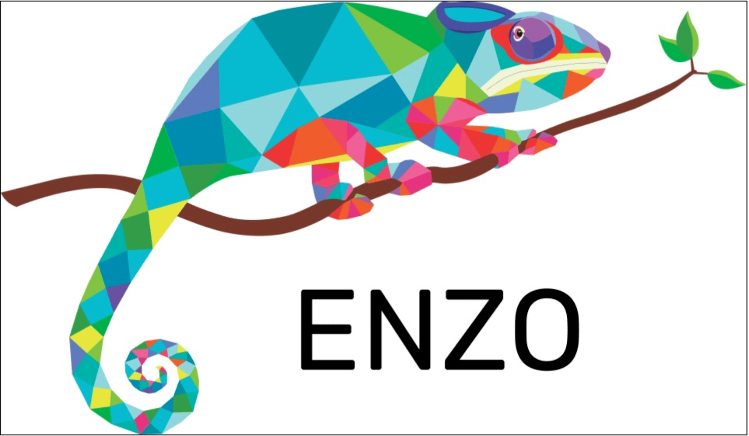 ENZO