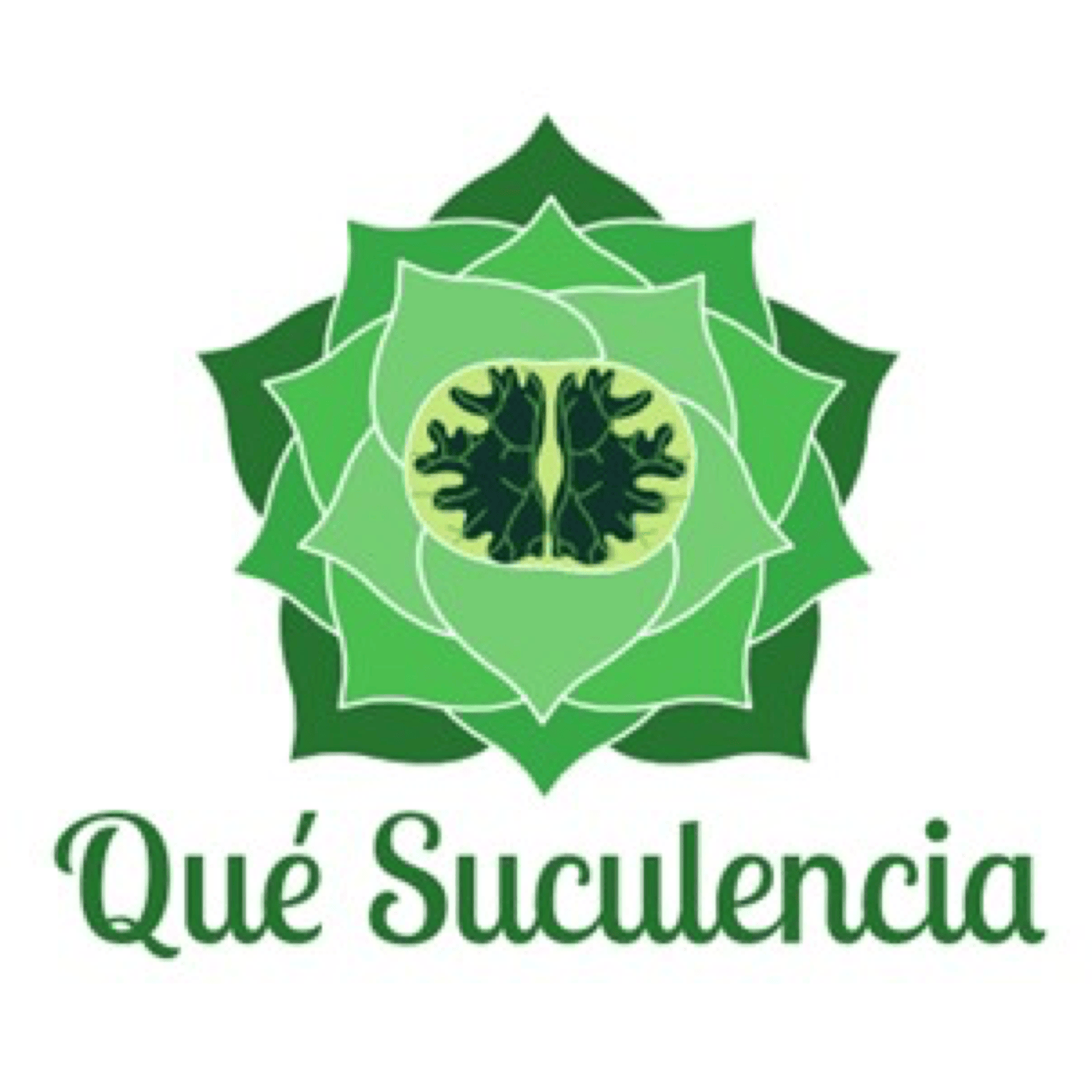 Qué Suculencia