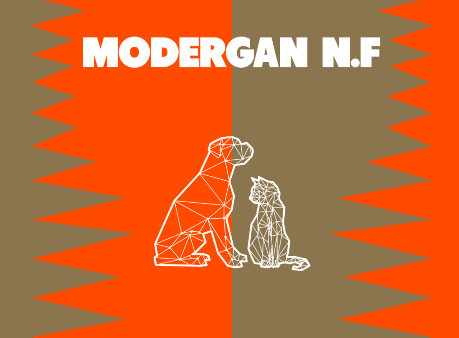 MODERGAN N.F