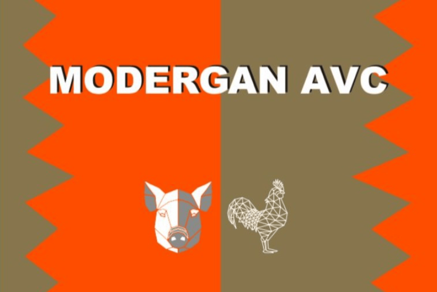MODERGAN AVC