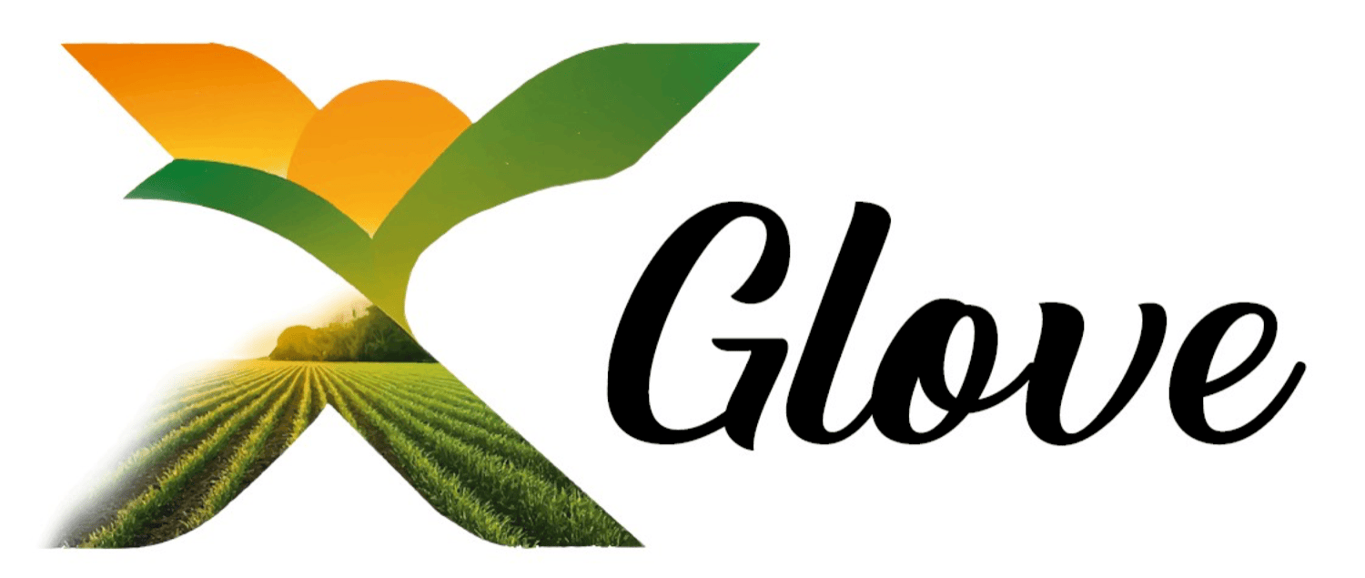 XGLOVE