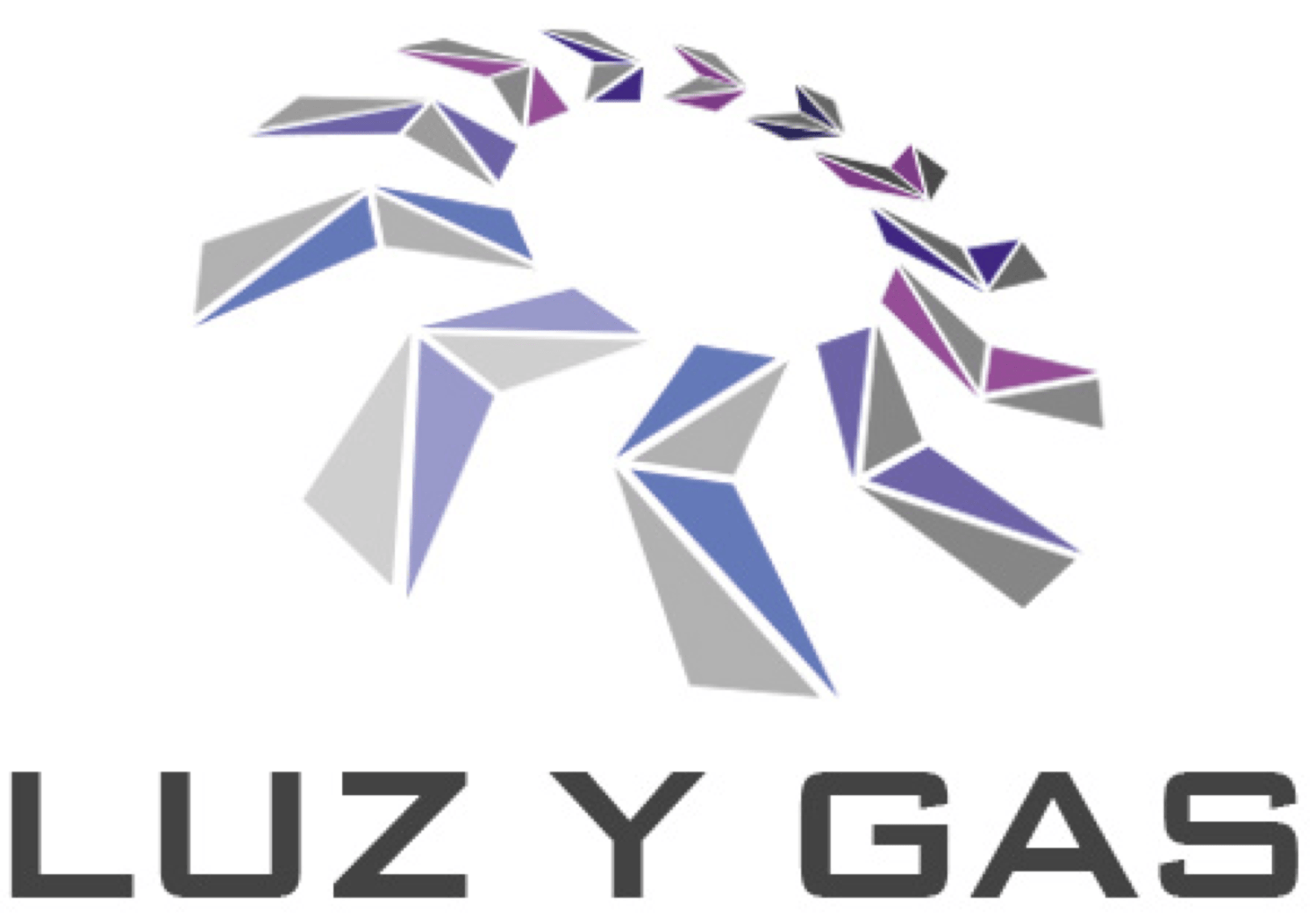 LUZ Y GAS