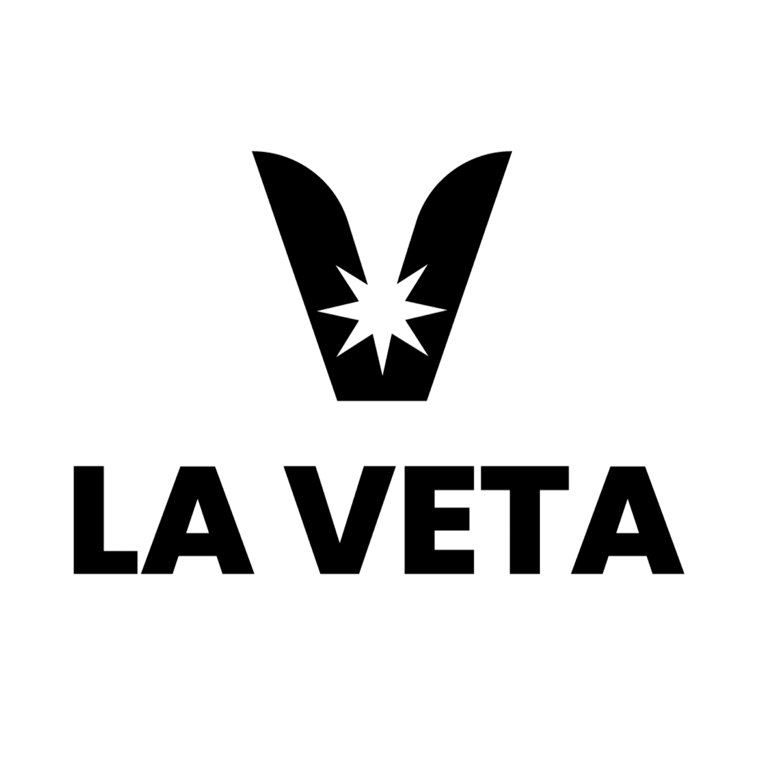 V LA VETA