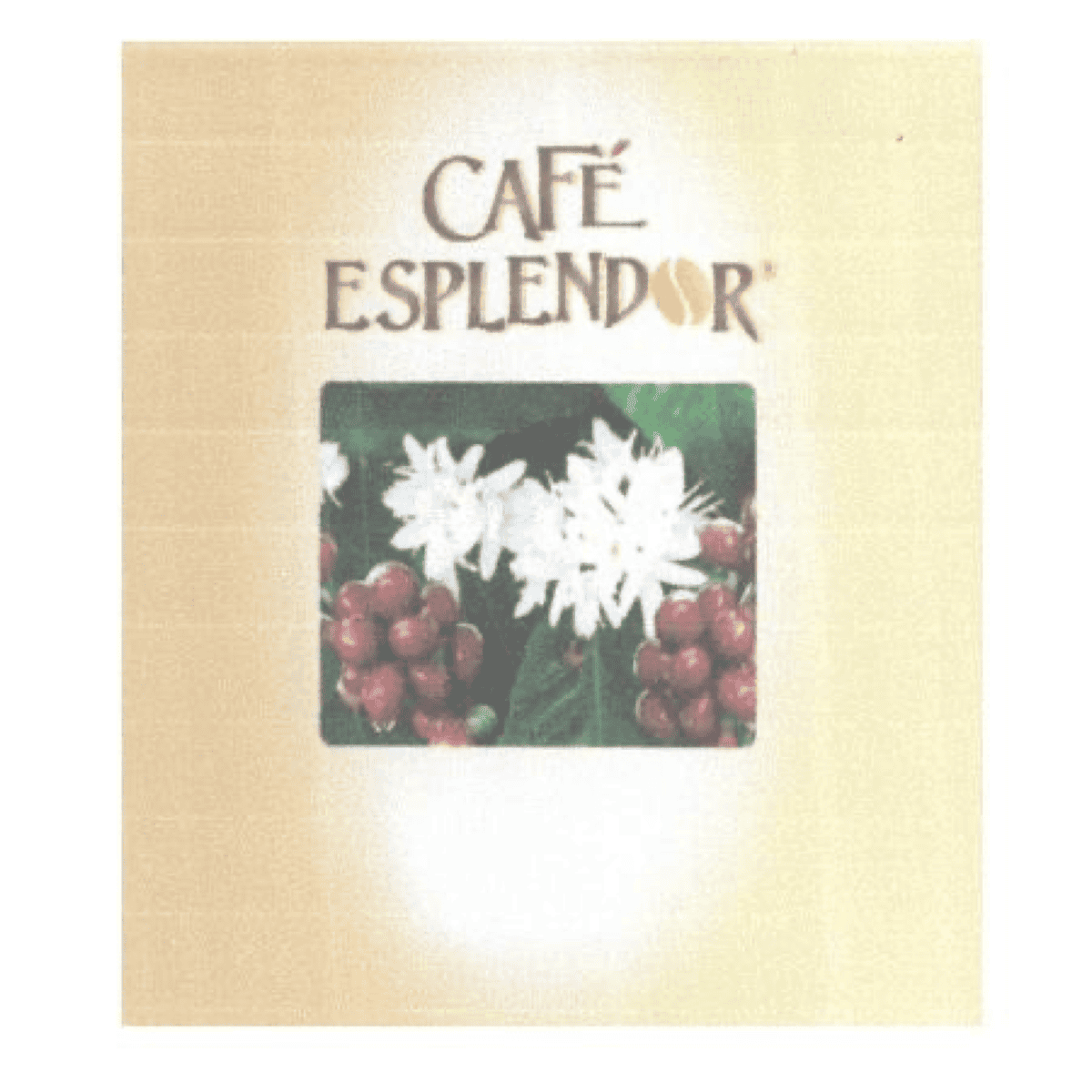 Café