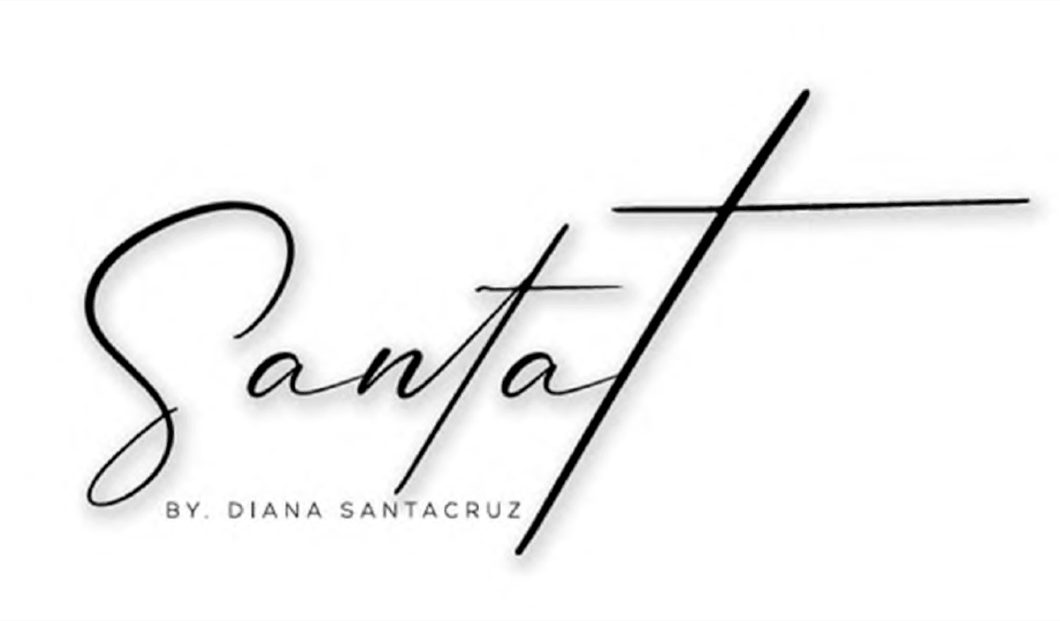 Santa t BY DIANA SANTACRUZ