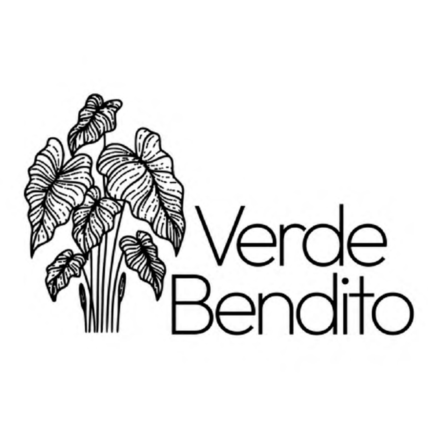 VERDE BENDITO
