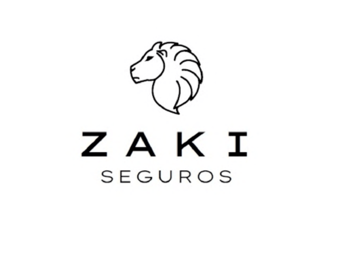 ZAKI SEGUROS
