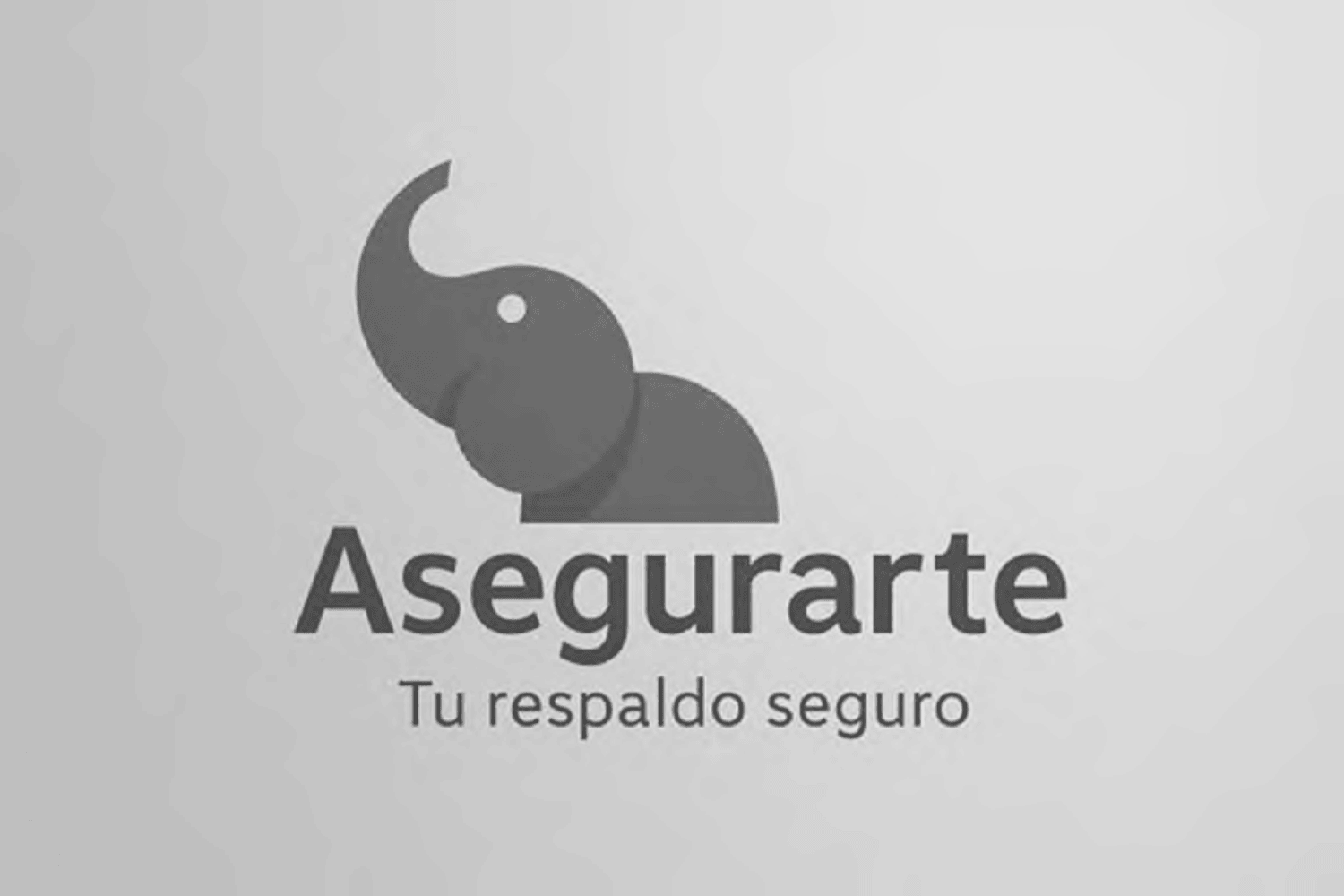 Asegurarte Tu respaldo seguro