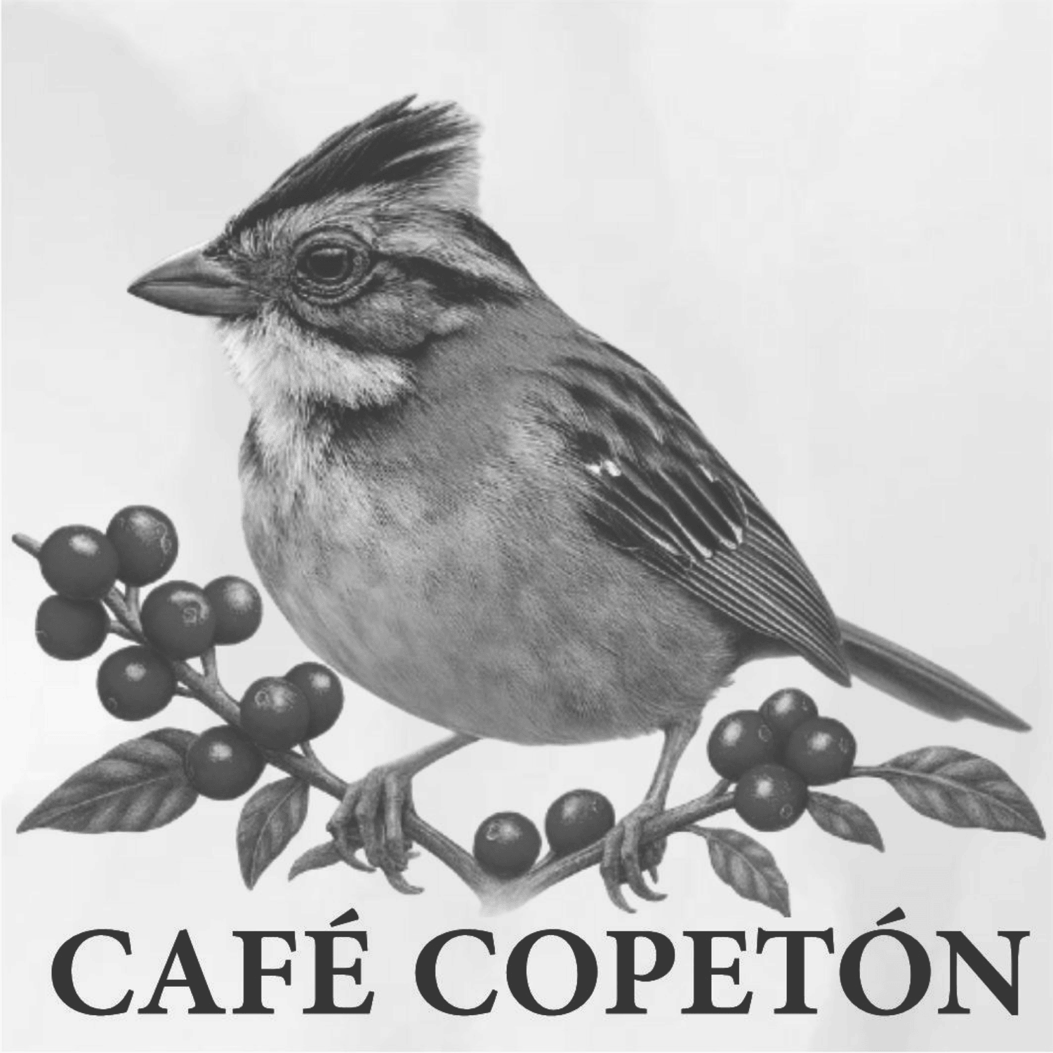 CAFÉ COPETÓN