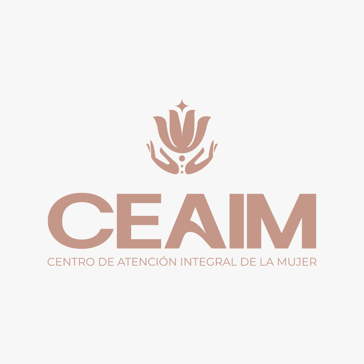 CEAIM CENTRO DE ATENCIÓN INTEGRAL DE LA MUJER