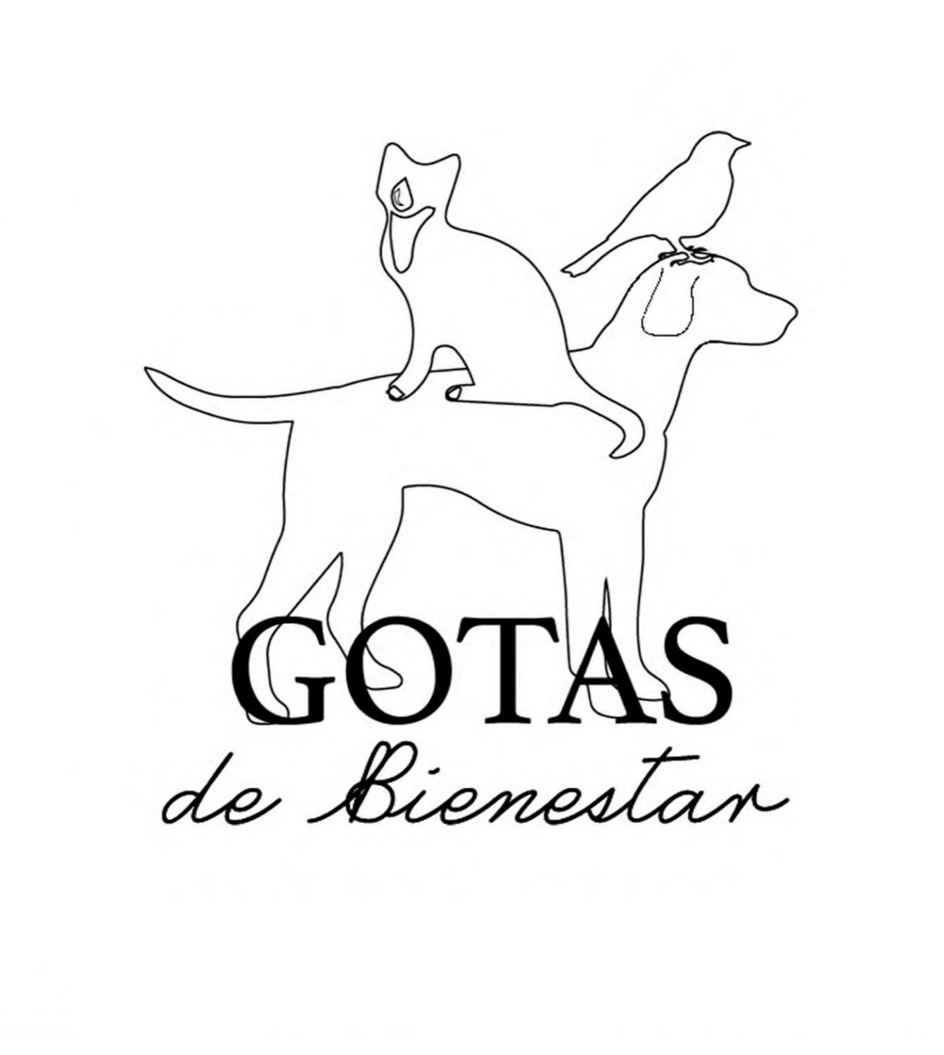 GOTAS DE BIENESTAR