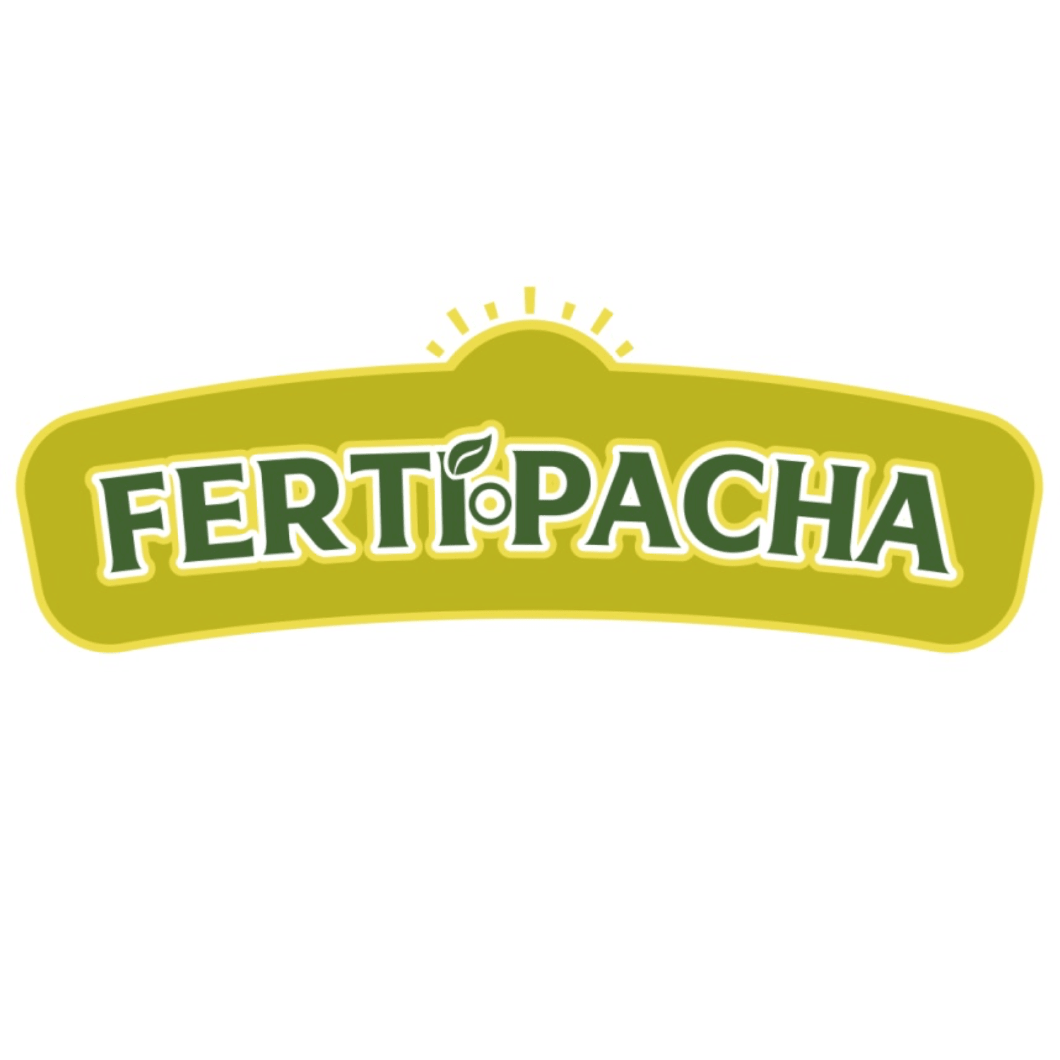 FERTI PACHA