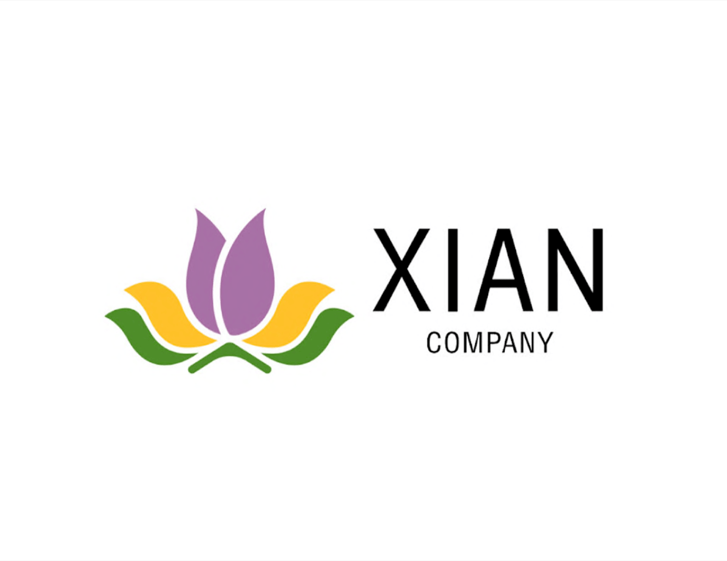 XIAN COMPANY