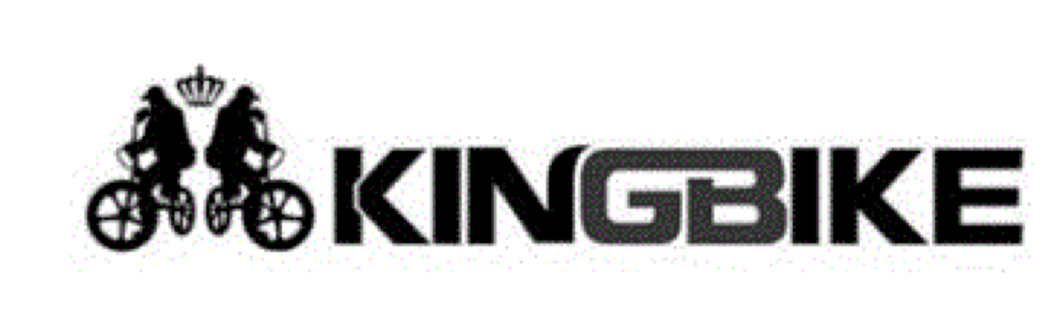 KINGBIKE