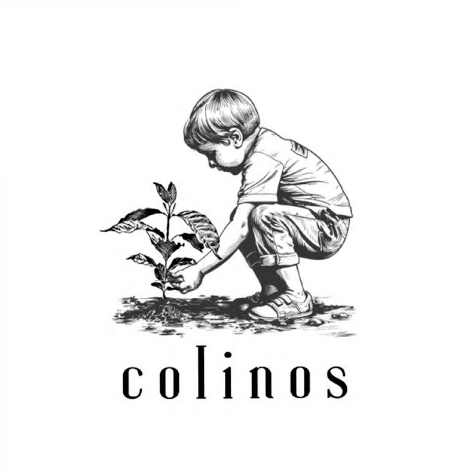 COLINOS