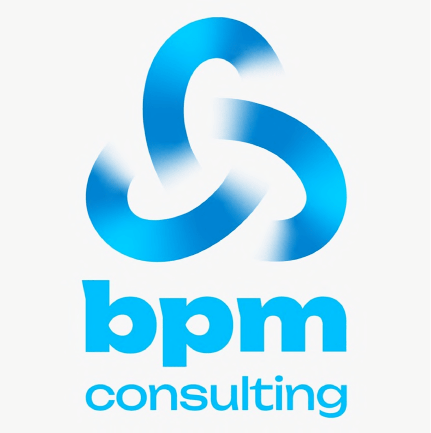 BPM CONSULTING