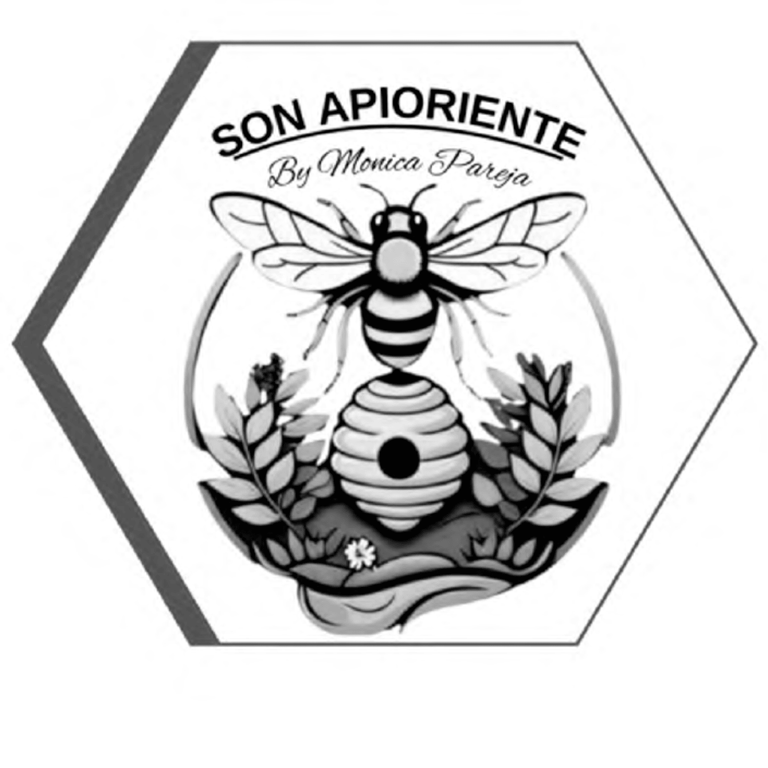 Son Apioriente By Monica pareja