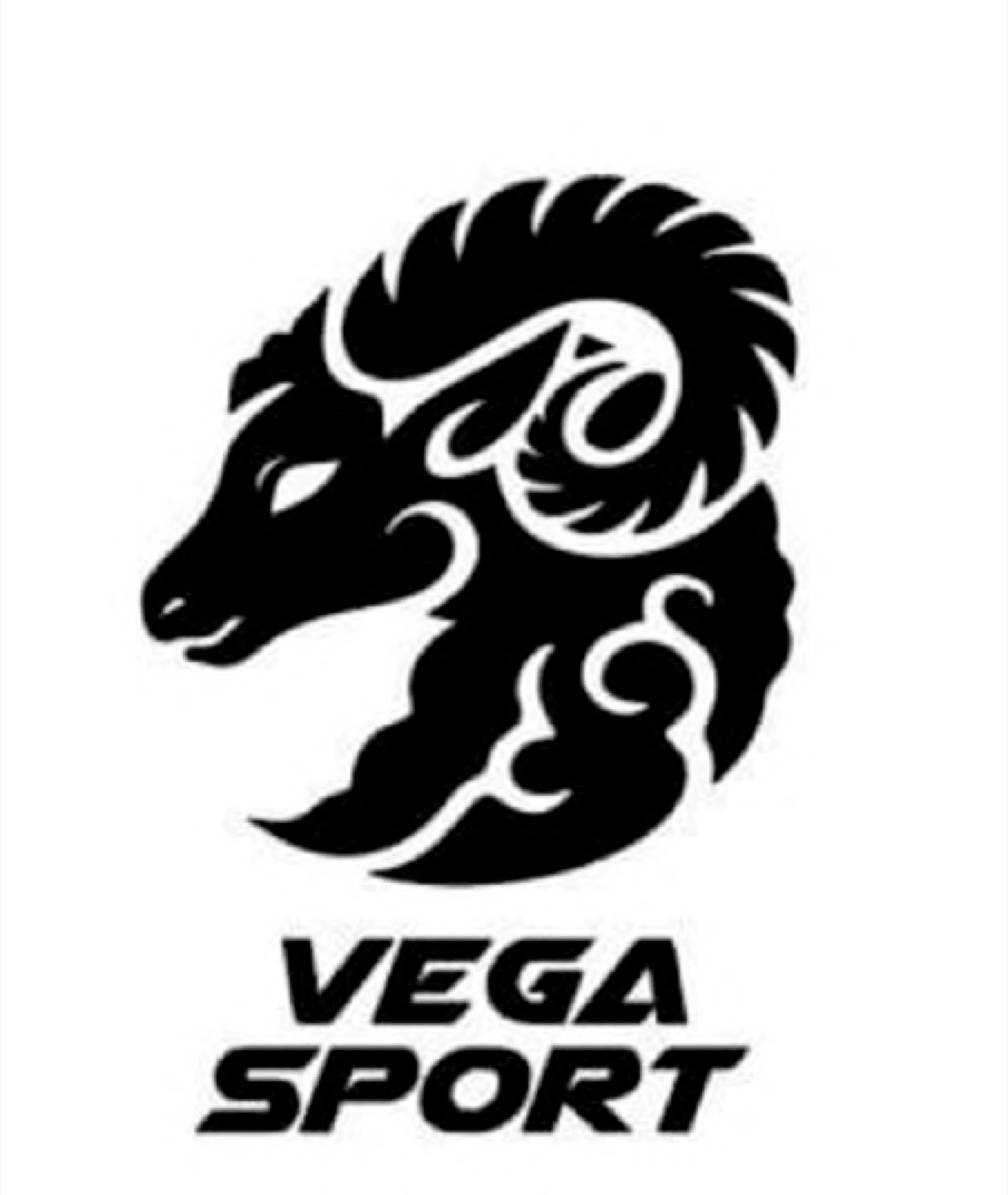VEGA SPORT