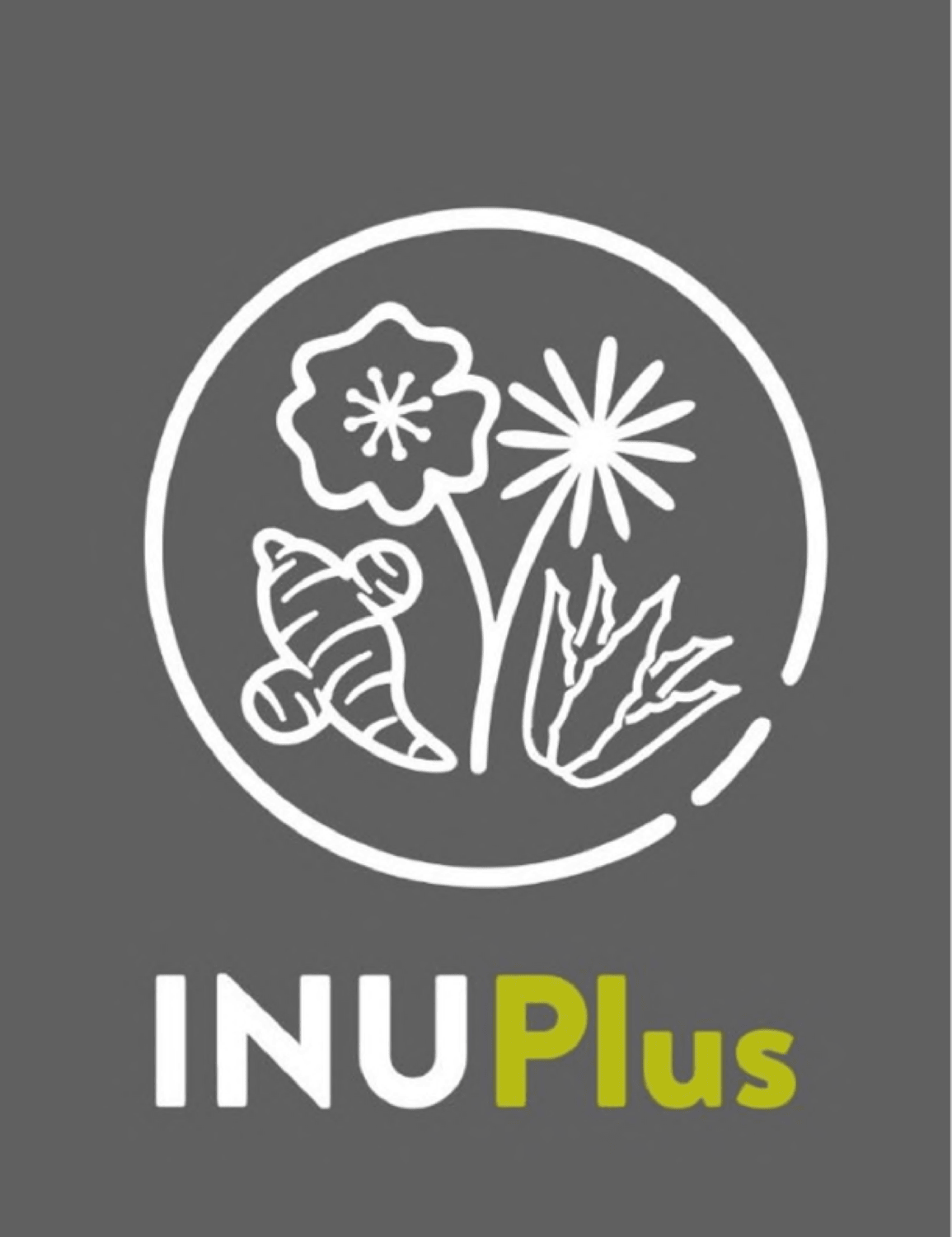 INUPlus