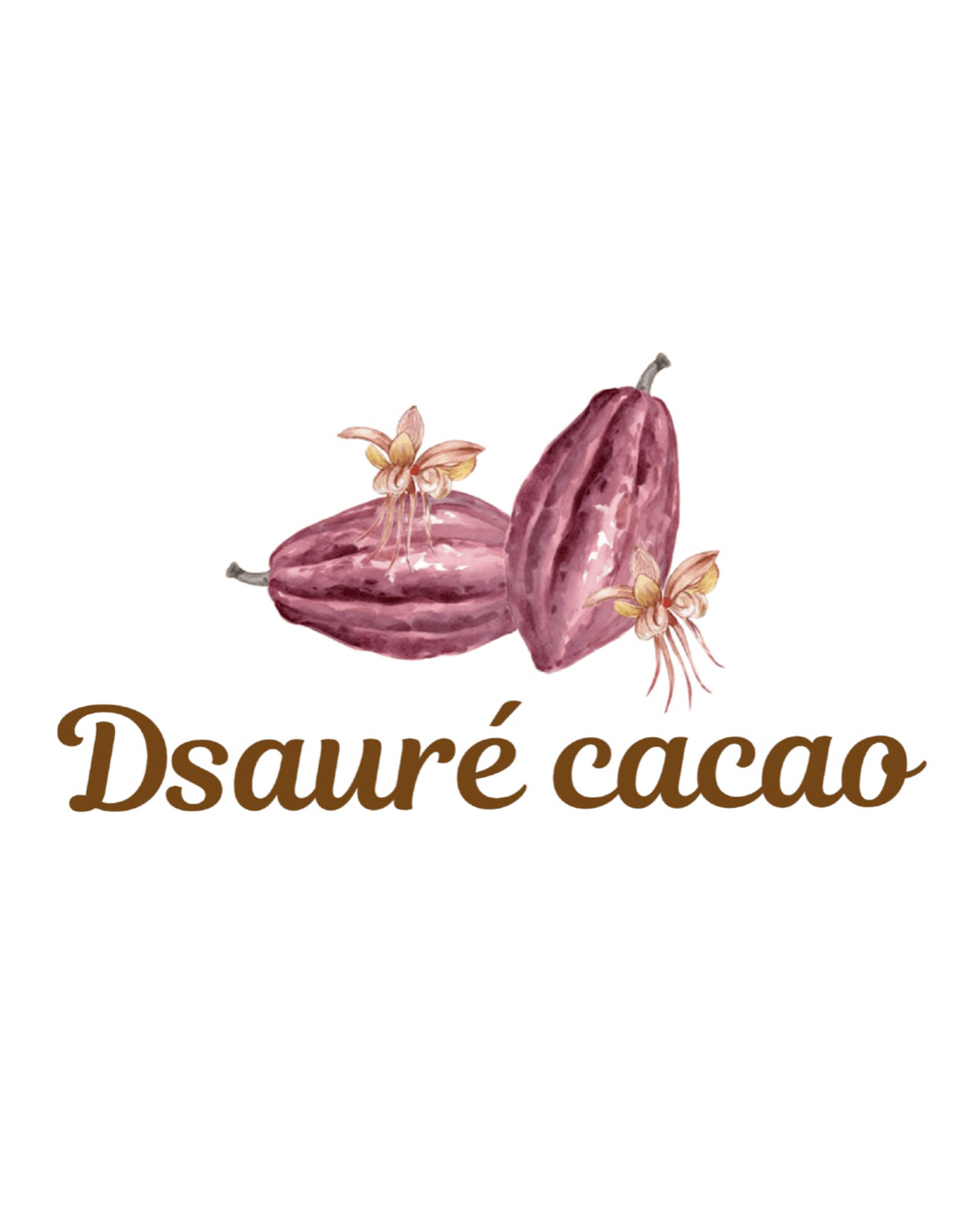 Dsauré cacao