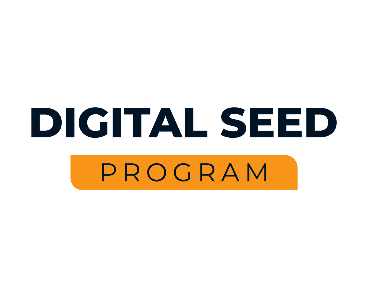 DIGITAL SEED PROGRAM