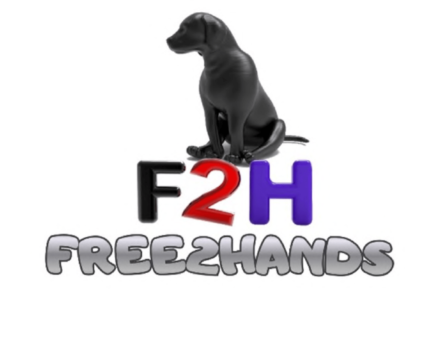 F2H FREE2HANDS