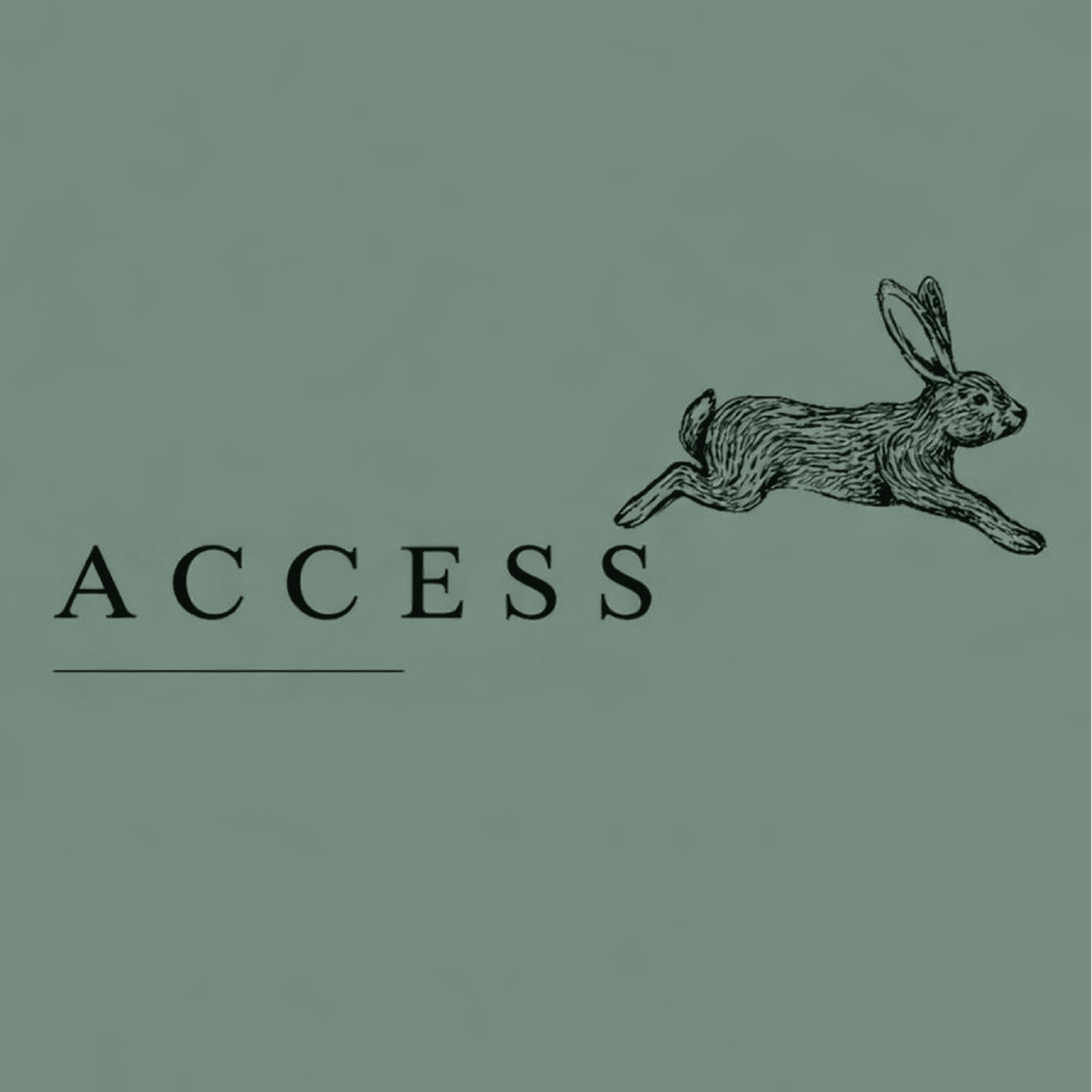 ACCESS