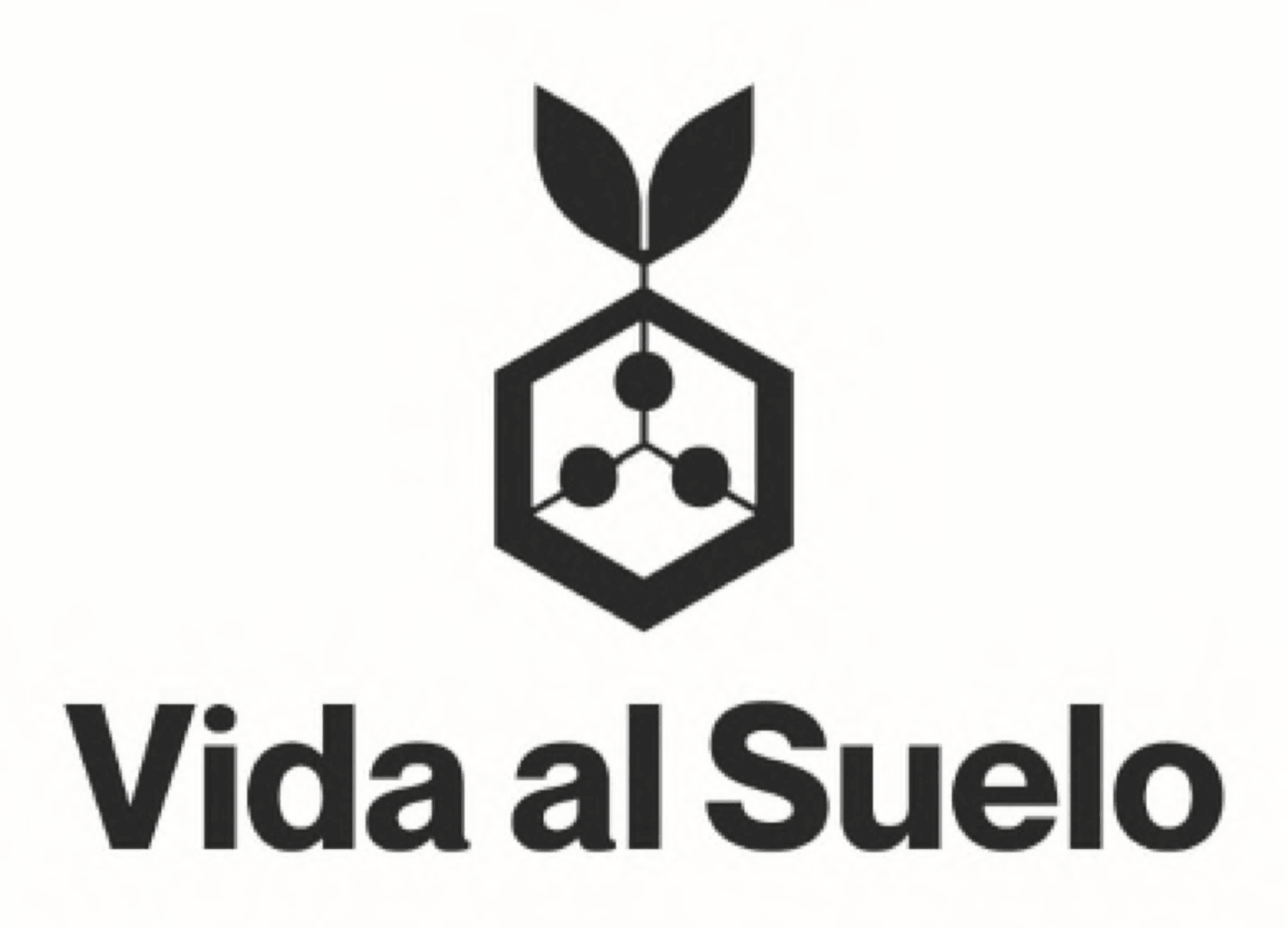 VIDA AL SUELO