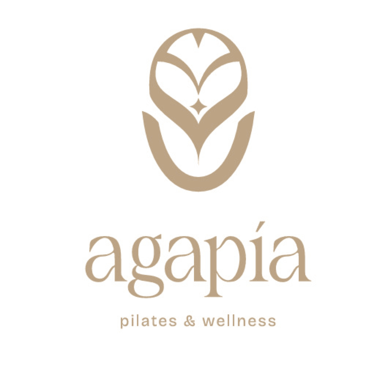 agapía pilates & wellness