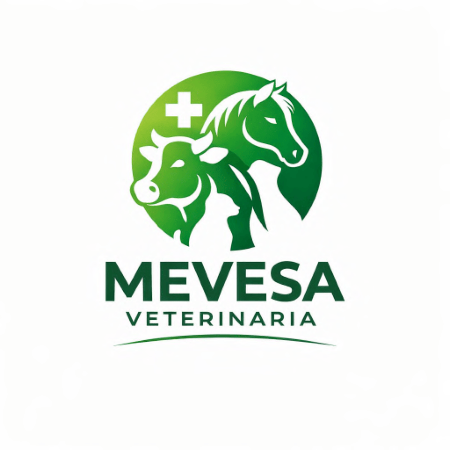 MEVESA VETERINARIA