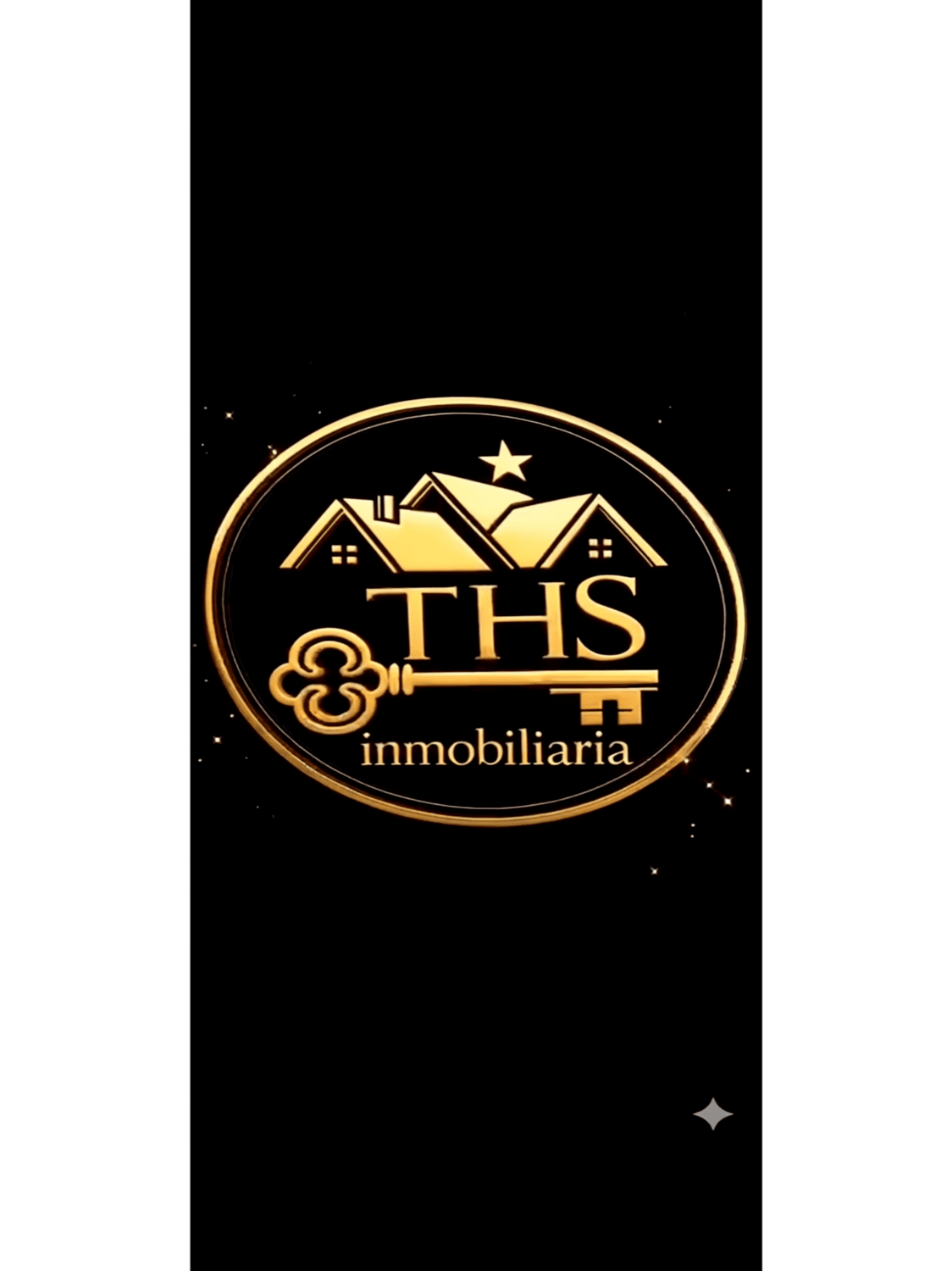 INMOBILIARIA THS